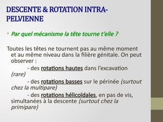 DESCENTE & ROTATION INTRA-
PELVIENNE
• Par quel mécanisme la tête tourne t’elle ?
Toutes les têtes ne tournent pas au même moment
et au même niveau dans la filière génitale. On peut
observer :
- des rotations hautes dans l’excavation
(rare)
- des rotations basses sur le périnée (surtout
chez la multipare)
- des rotations hélicoïdales, en pas de vis,
simultanées à la descente (surtout chez la
primipare)
 
