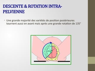 DESCENTE & ROTATION INTRA-
PELVIENNE
• Une grande majorité des variétés de position postérieures
tournent aussi en avant mais après une grande rotation de 135°
 