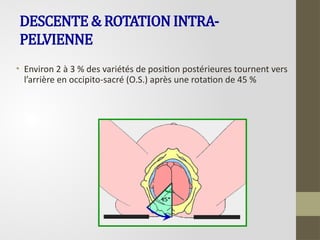 DESCENTE & ROTATION INTRA-
PELVIENNE
• Environ 2 à 3 % des variétés de position postérieures tournent vers
l’arrière en occipito-sacré (O.S.) après une rotation de 45 %
 
