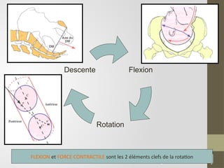 67
Flexion
Rotation
Descente
FLEXION et FORCE CONTRACTILE sont les 2 éléments clefs de la rotation
 