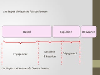 Travail Expulsion Délivrance
Engagement
Descente
& Rotation
Dégagement
Les étapes cliniques de l’accouchement
Les étapes mécaniques de l’accouchement
 