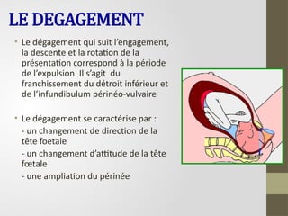 LE DEGAGEMENT
• Le dégagement qui suit l’engagement,
la descente et la rotation de la
présentation correspond à la période
de l’expulsion. Il s’agit du
franchissement du détroit inférieur et
de l’infundibulum périnéo-vulvaire
• Le dégagement se caractérise par :
- un changement de direction de la
tête foetale
- un changement d’attitude de la tête
fœtale
- une ampliation du périnée
 