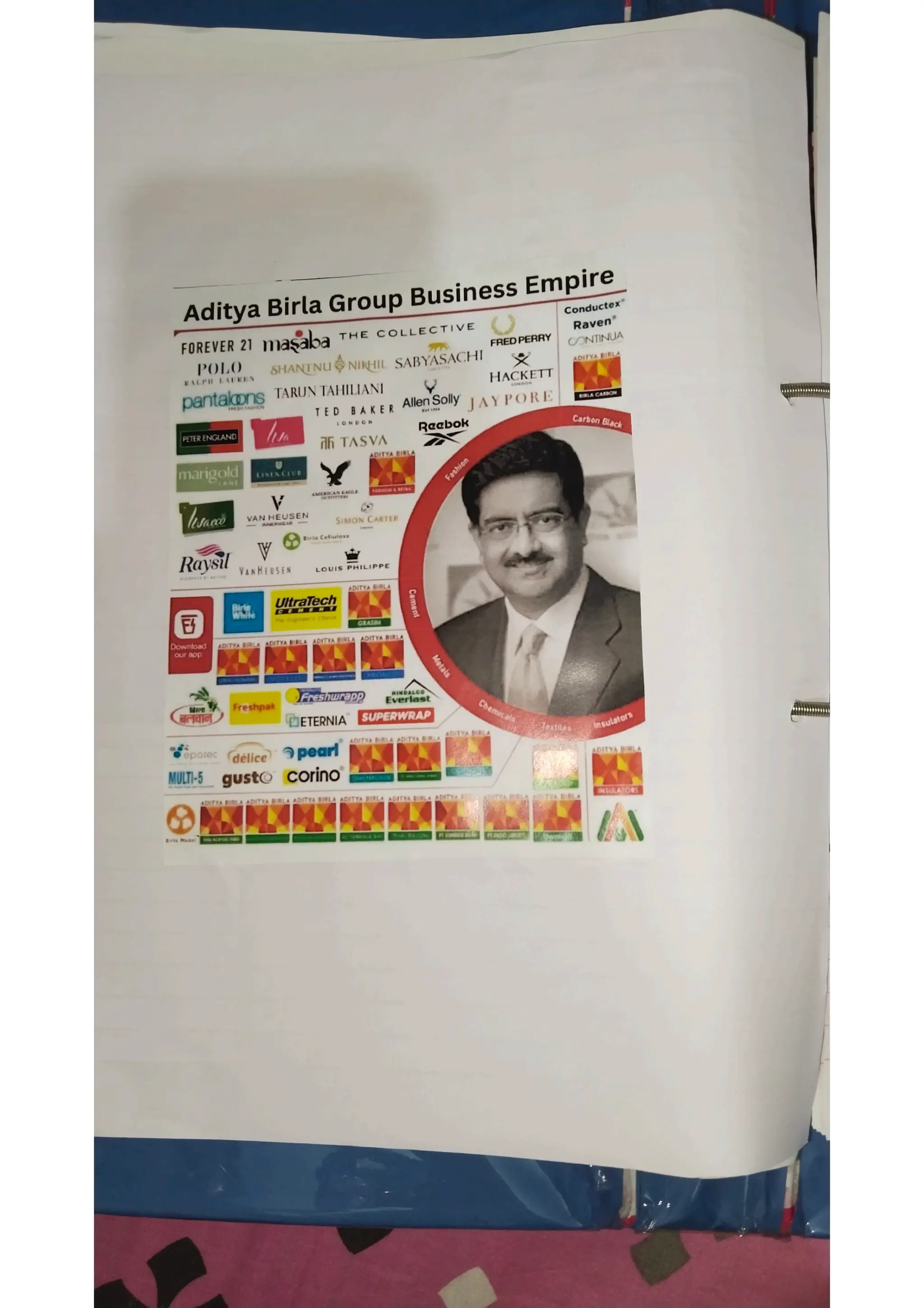 Ratio analysis and segment reporting Accountancy project