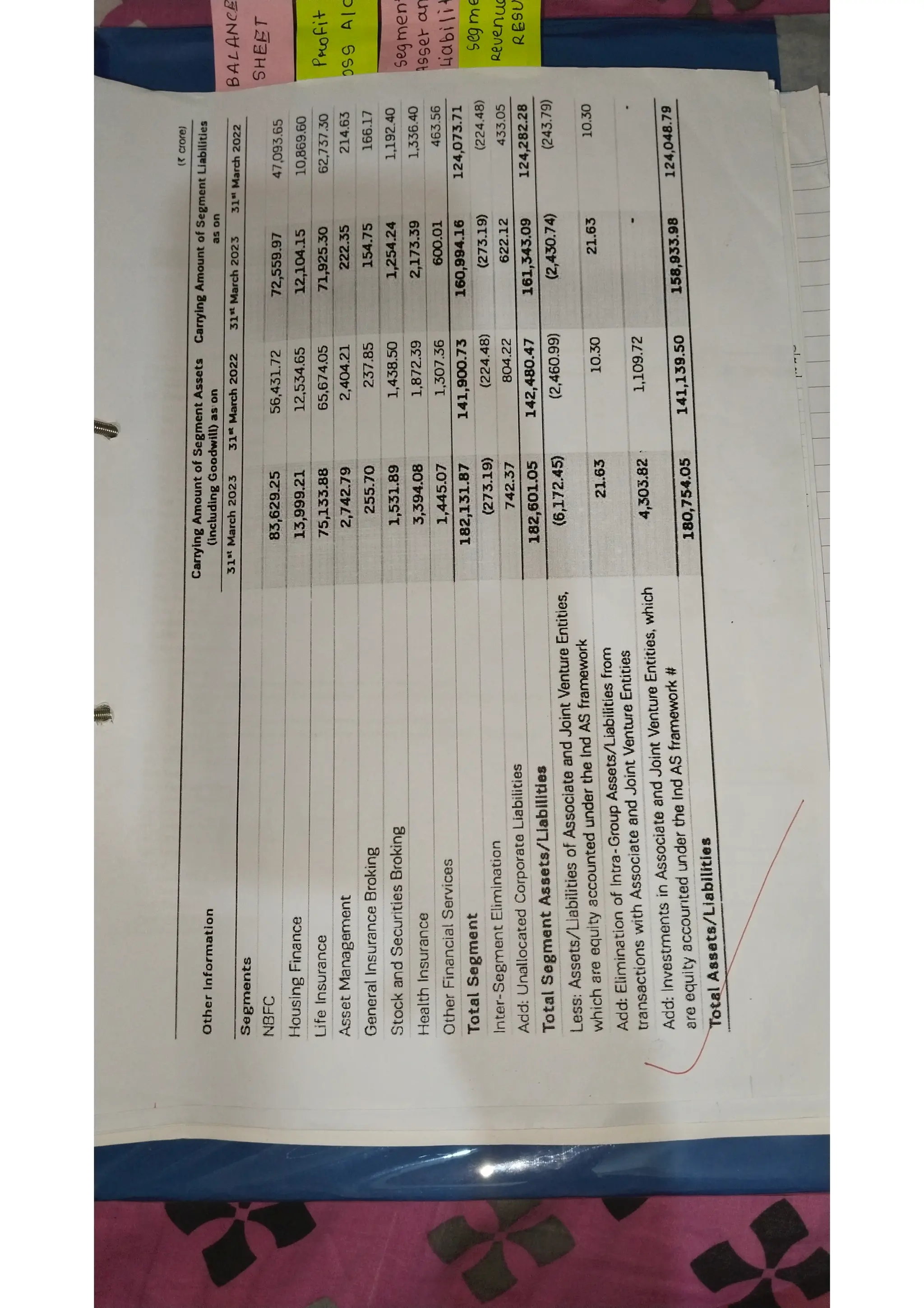 Ratio analysis and segment reporting Accountancy project