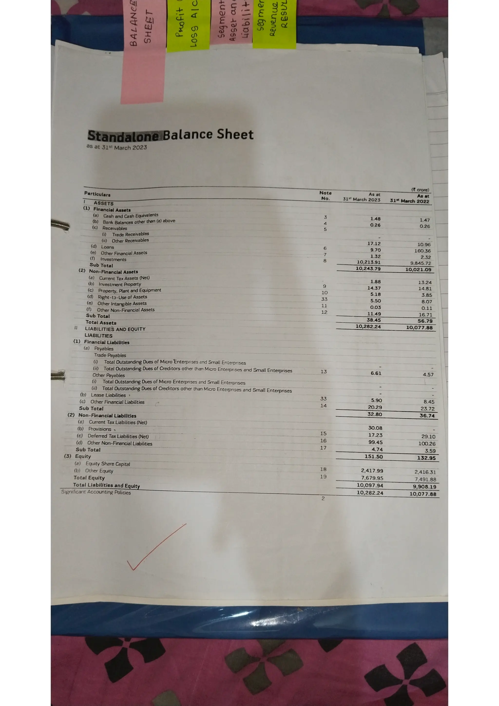Ratio analysis and segment reporting Accountancy project