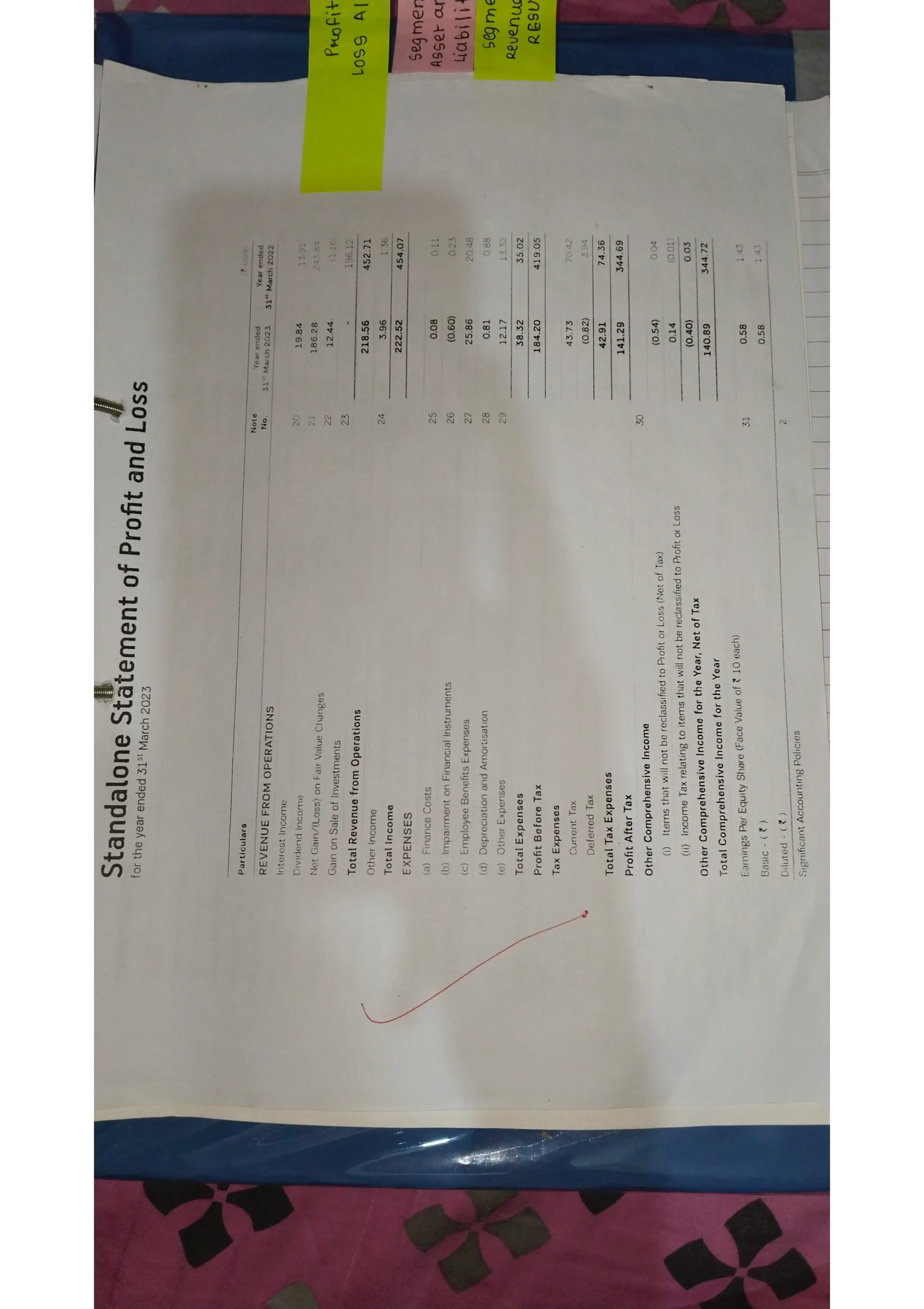 Ratio analysis and segment reporting Accountancy project