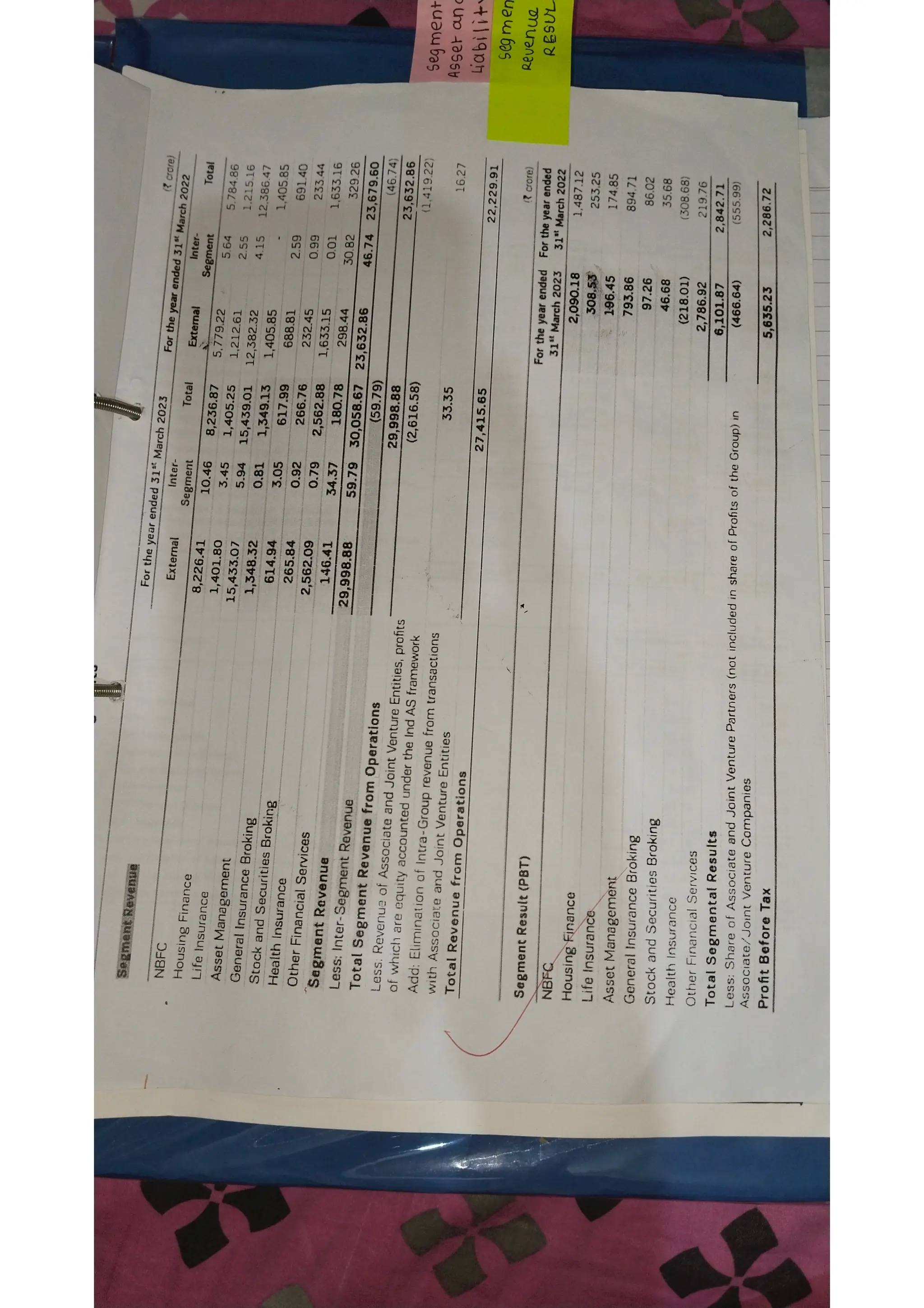 Ratio analysis and segment reporting Accountancy project