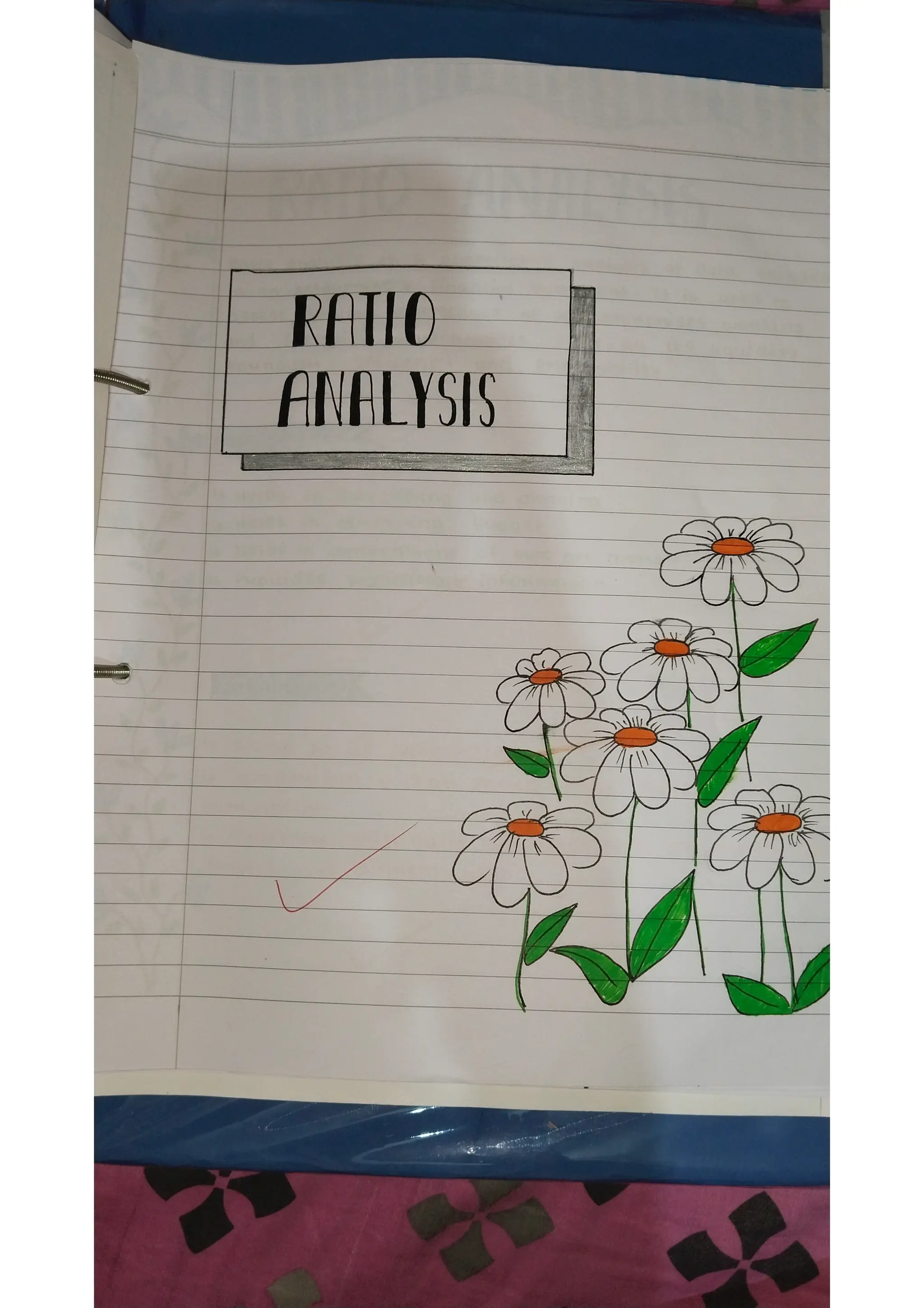 Ratio analysis and segment reporting Accountancy project