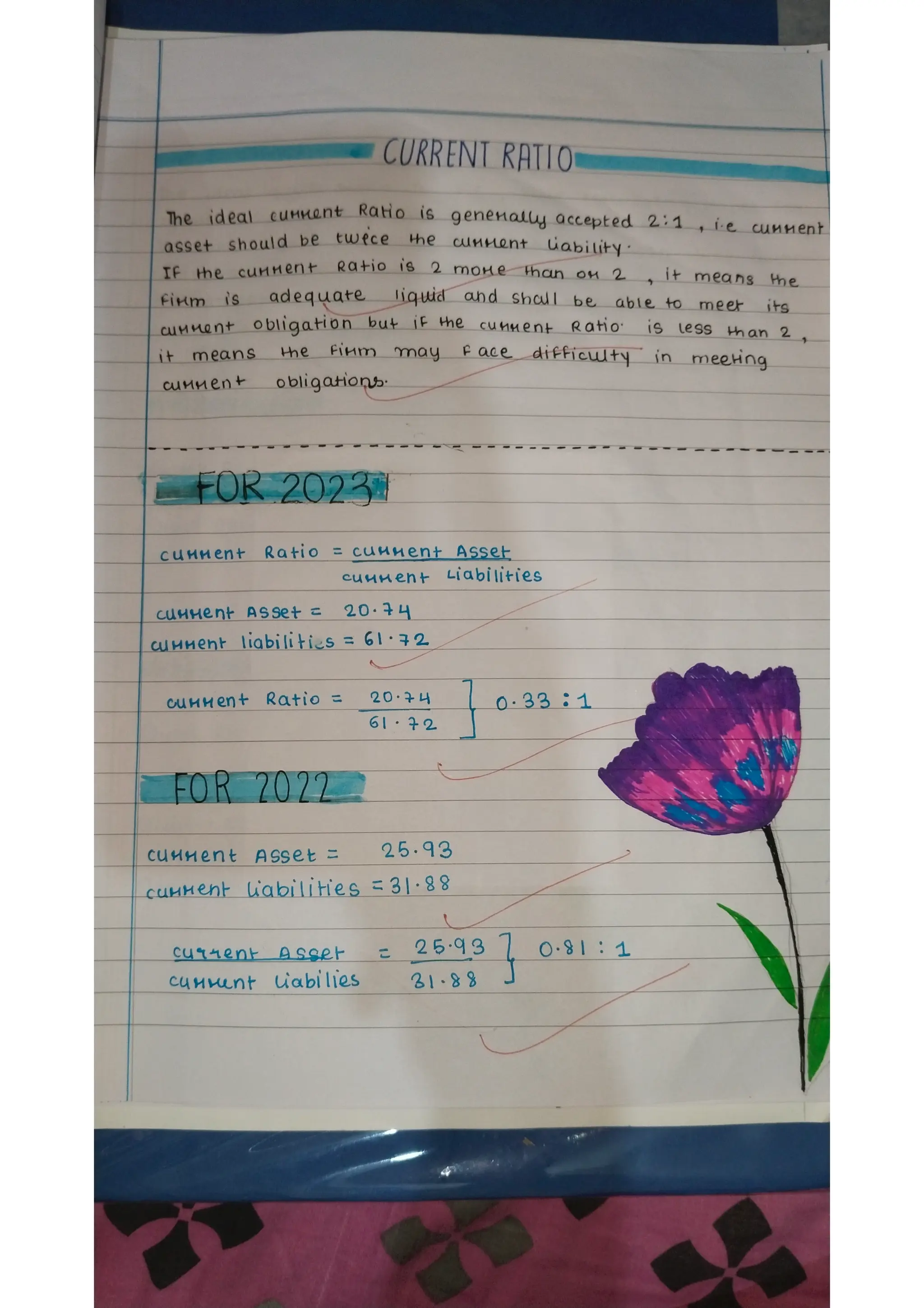 Ratio analysis and segment reporting Accountancy project