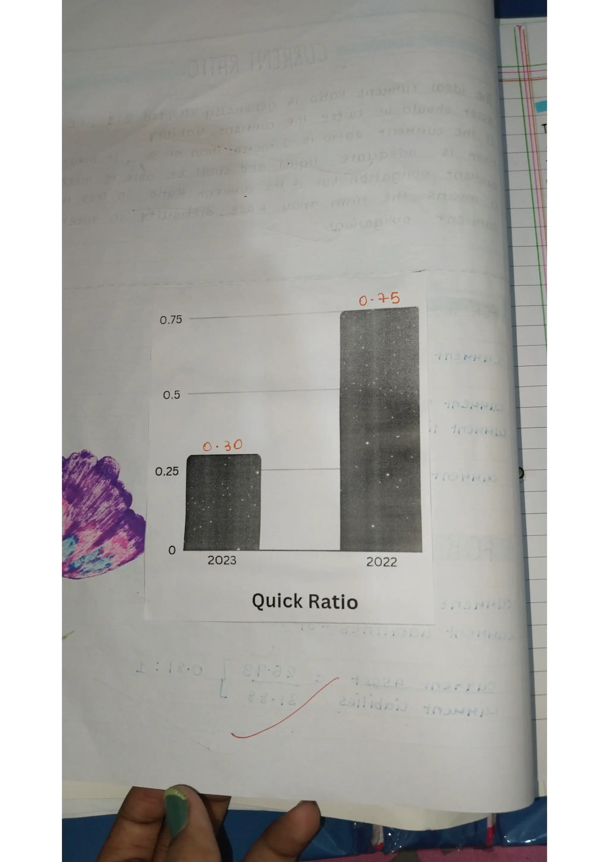 Ratio analysis and segment reporting Accountancy project