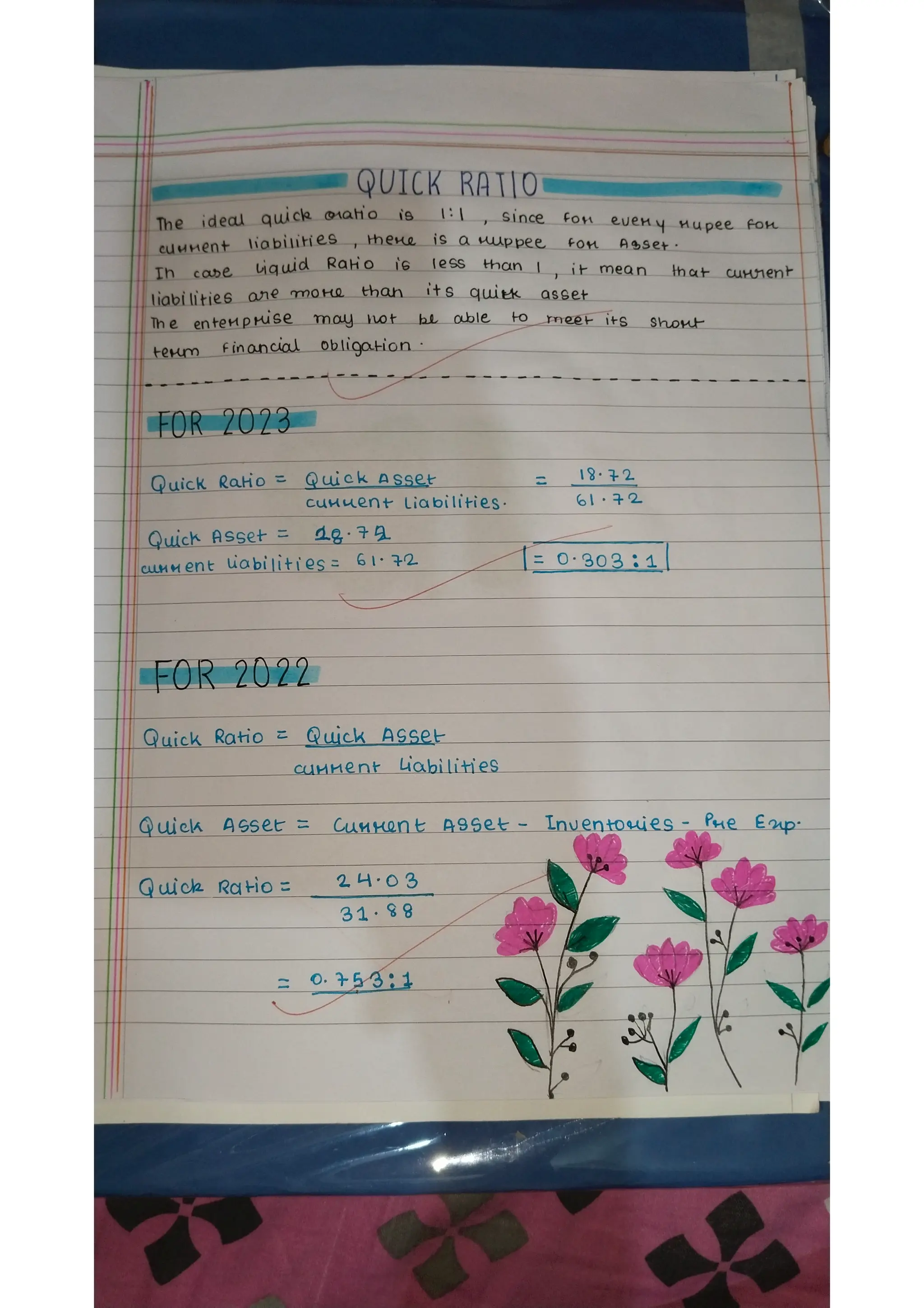 Ratio analysis and segment reporting Accountancy project
