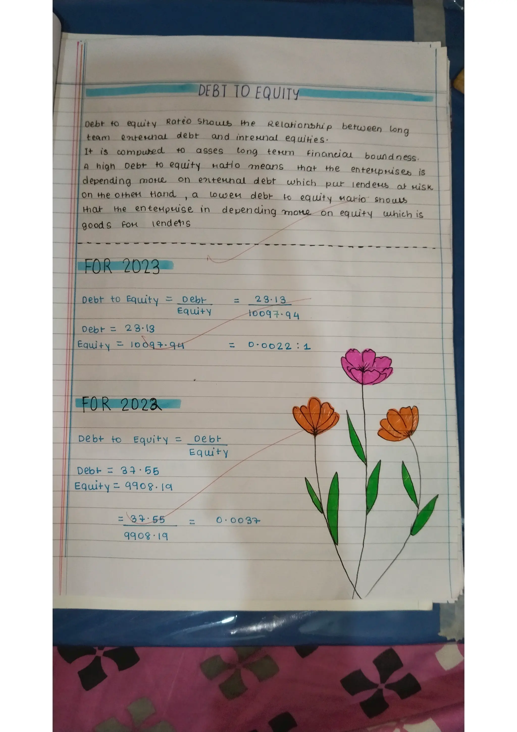 Ratio analysis and segment reporting Accountancy project