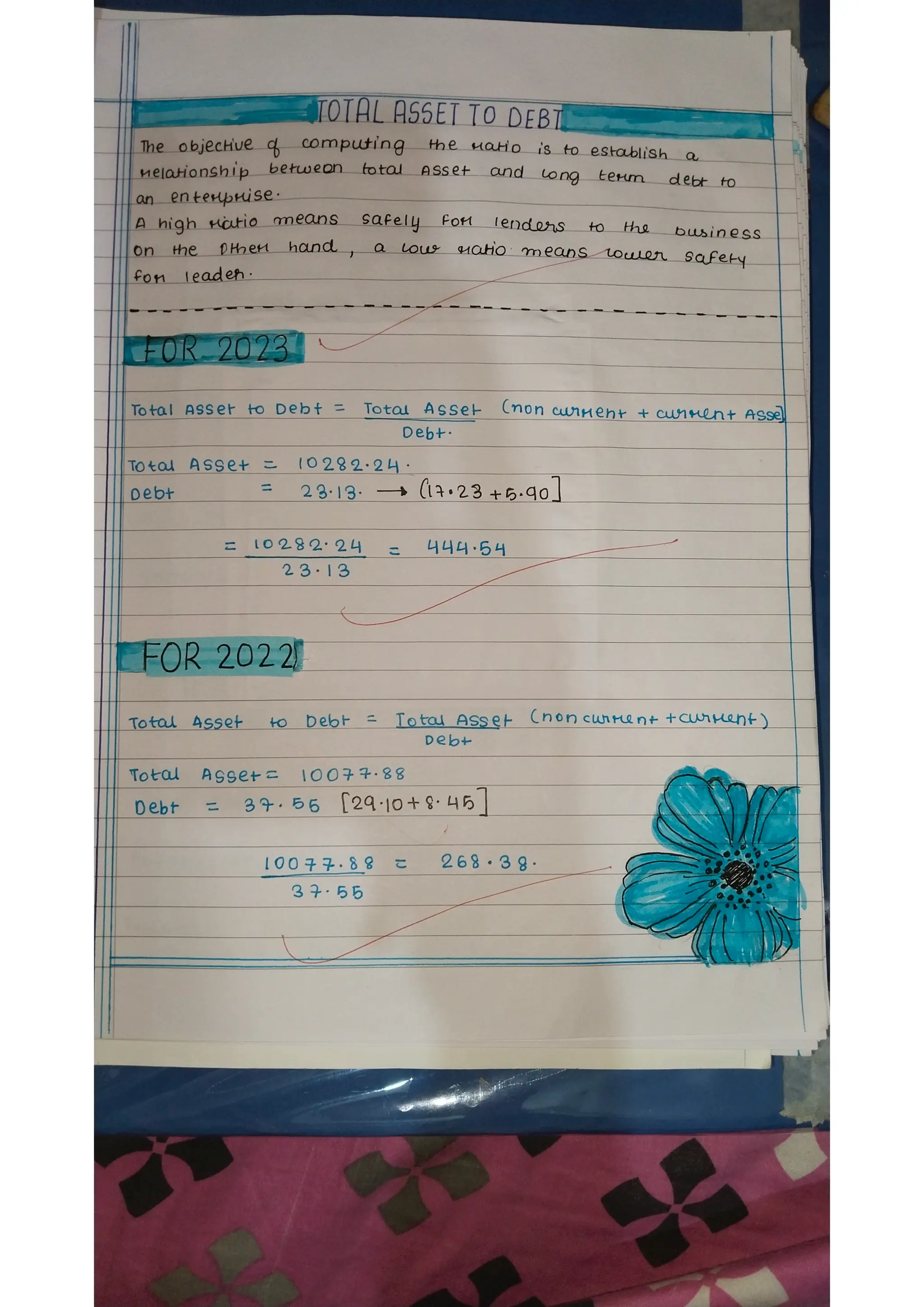 Ratio analysis and segment reporting Accountancy project