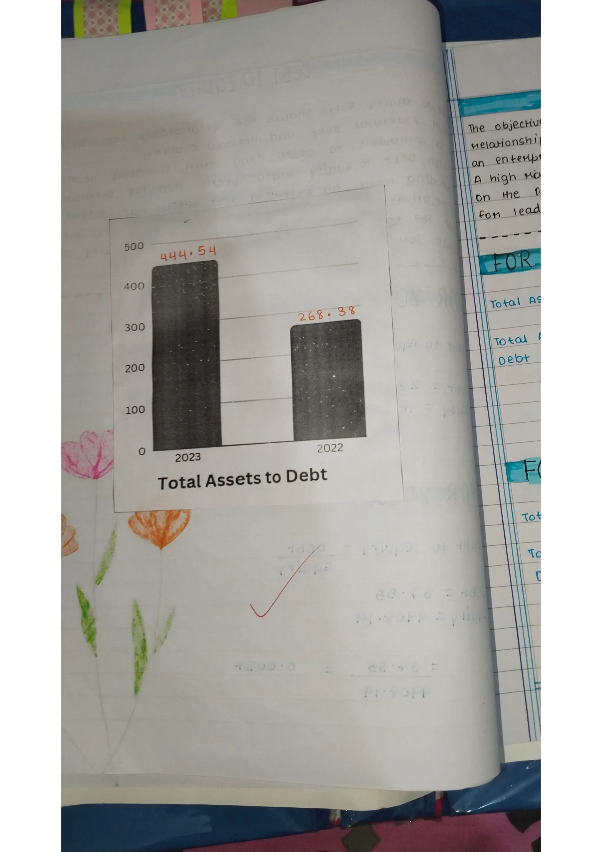 Ratio analysis and segment reporting Accountancy project