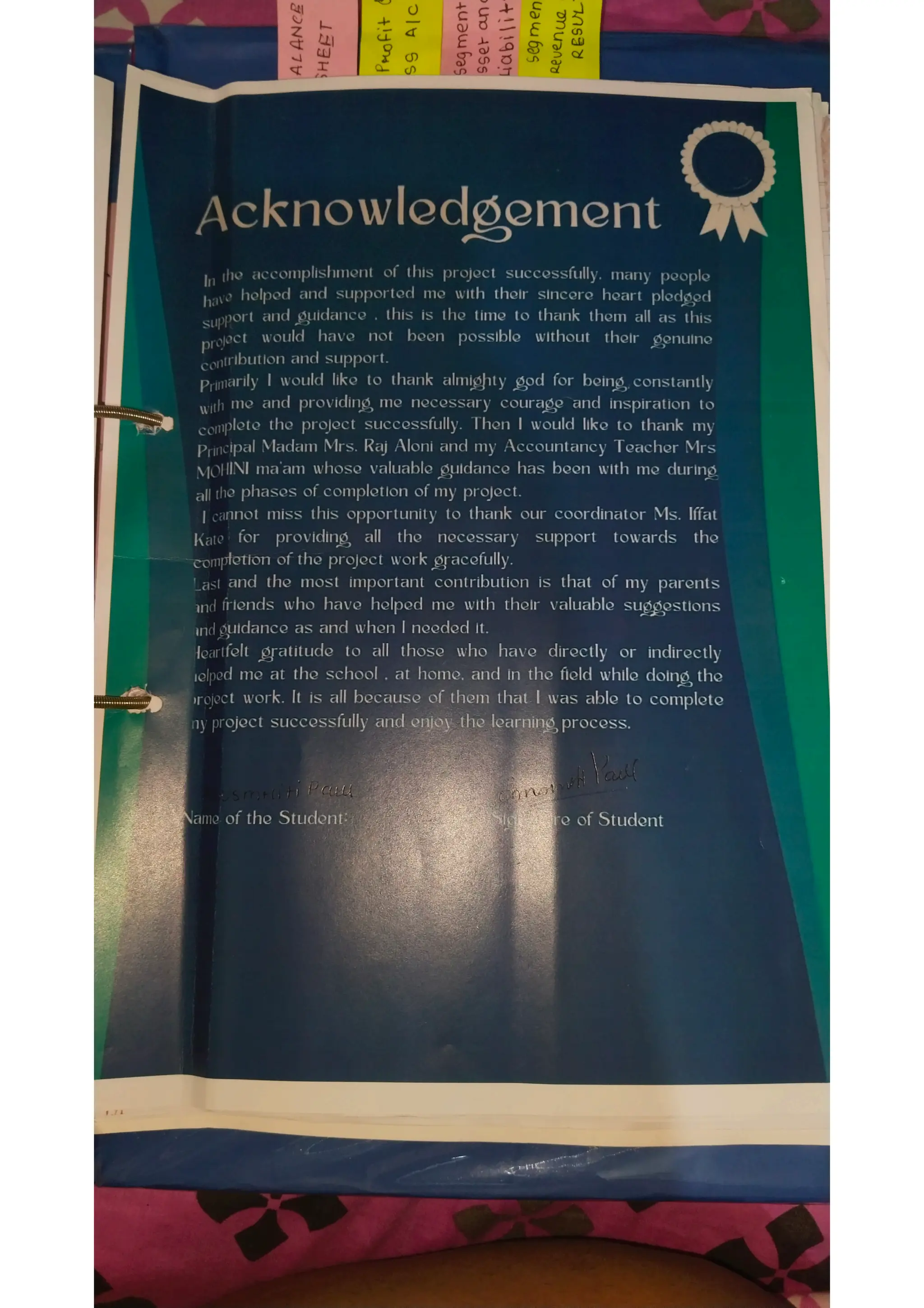 Ratio analysis and segment reporting Accountancy project