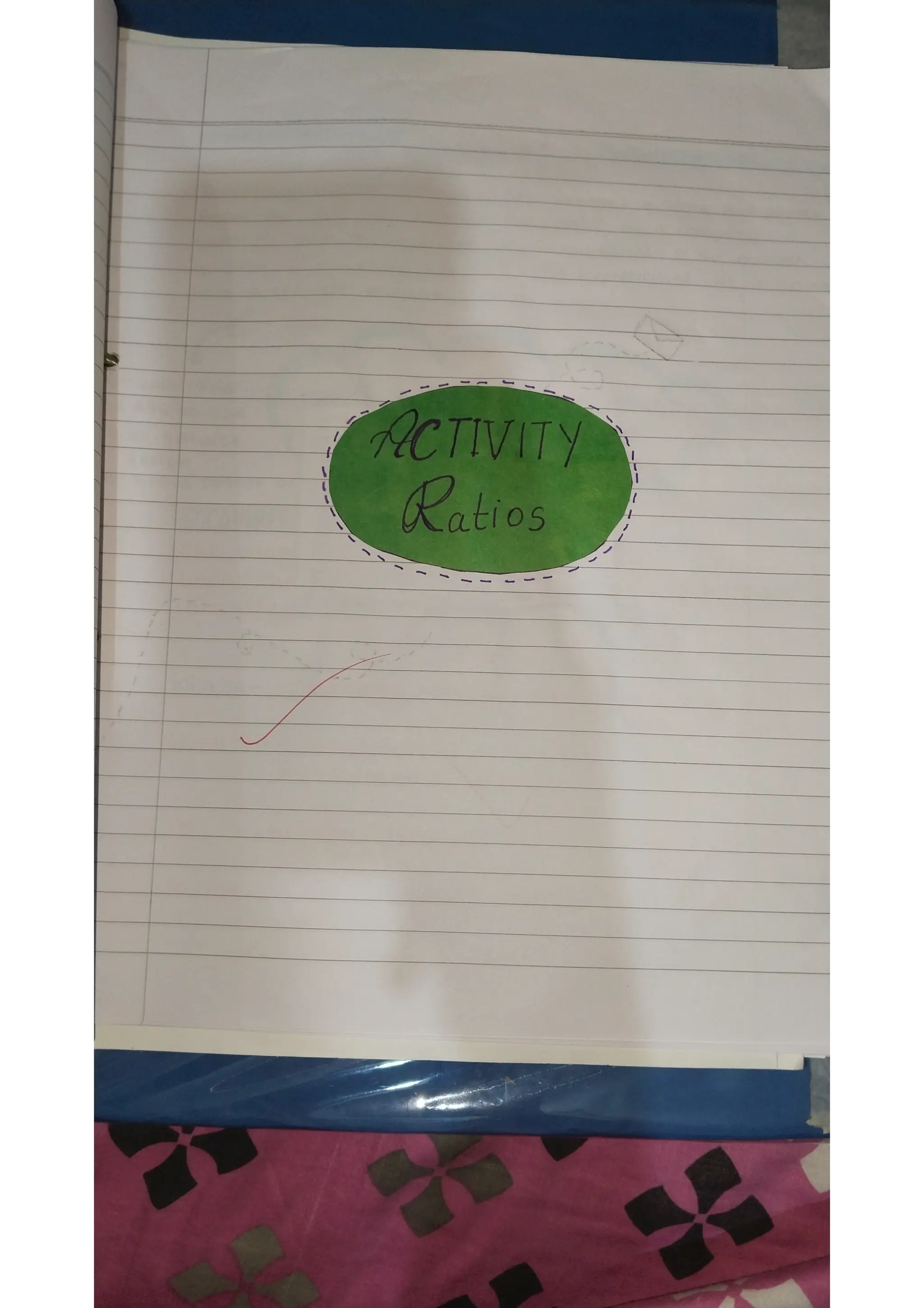 Ratio analysis and segment reporting Accountancy project