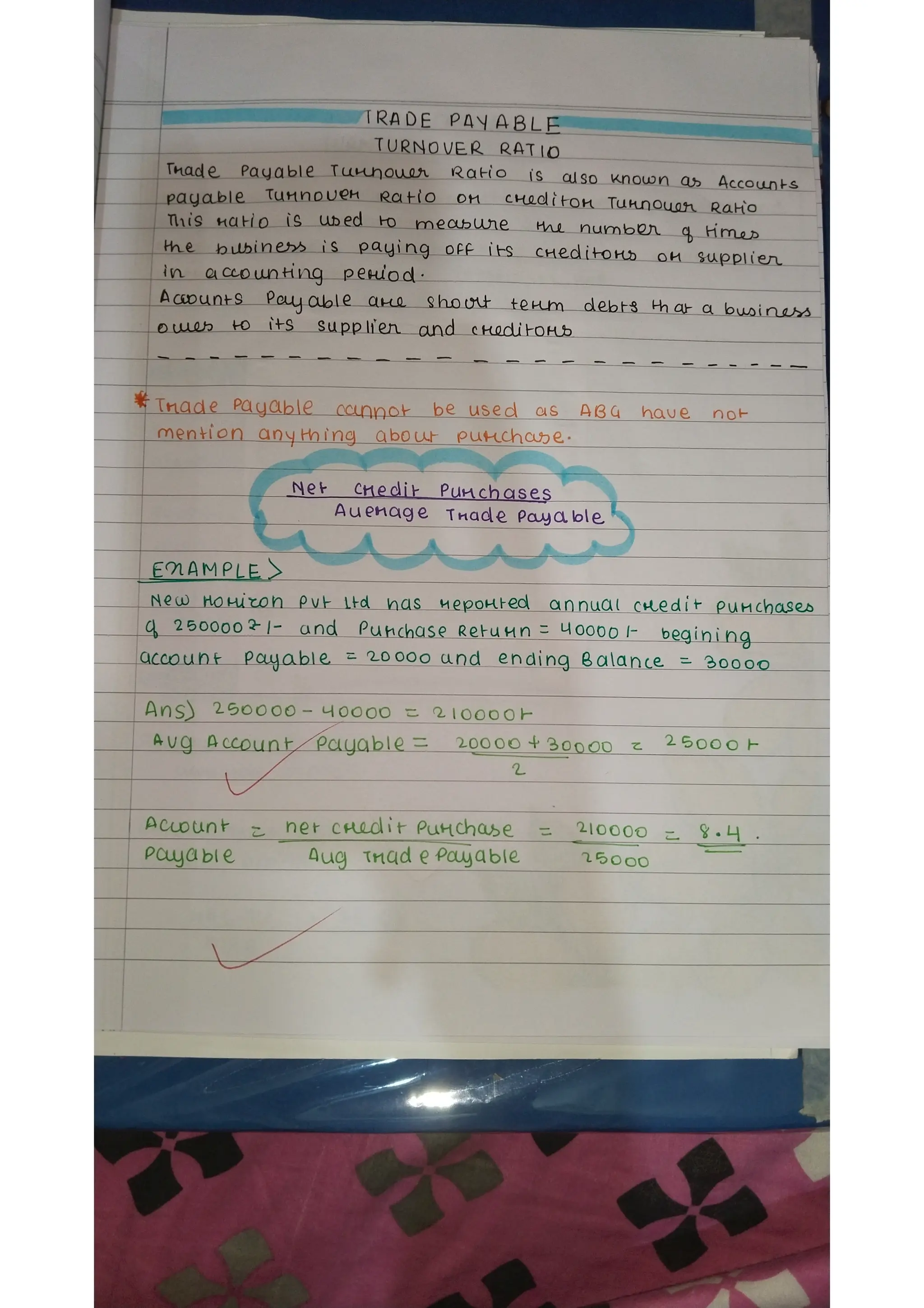 Ratio analysis and segment reporting Accountancy project