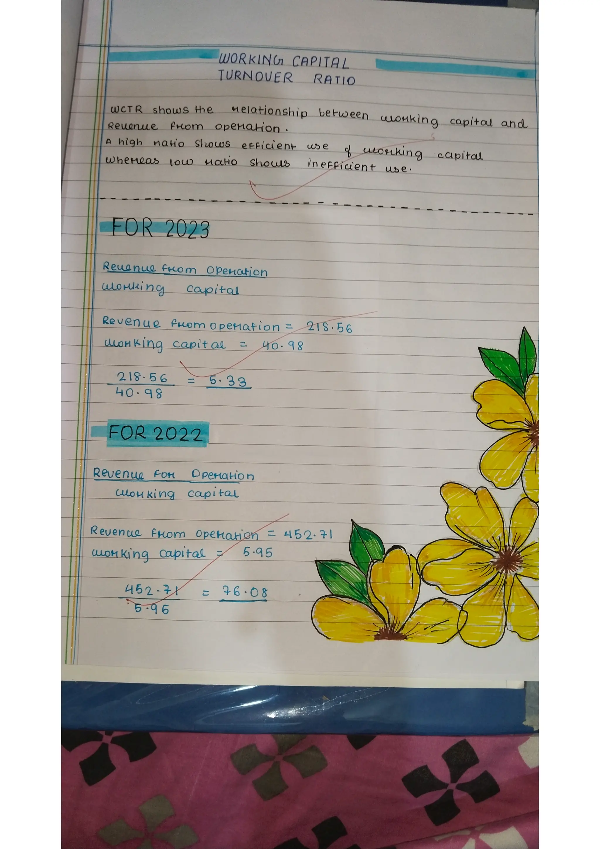 Ratio analysis and segment reporting Accountancy project