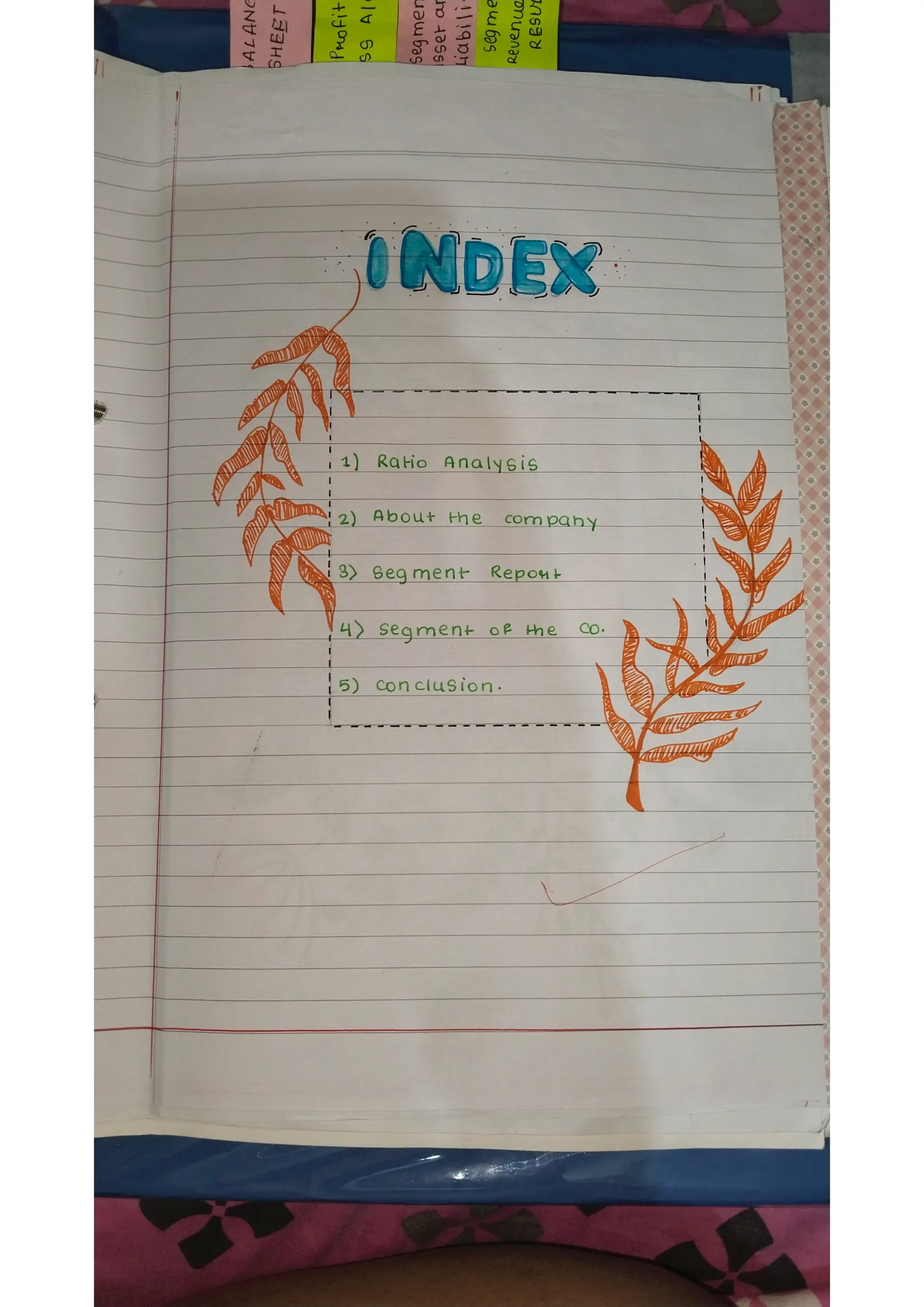 Ratio analysis and segment reporting Accountancy project