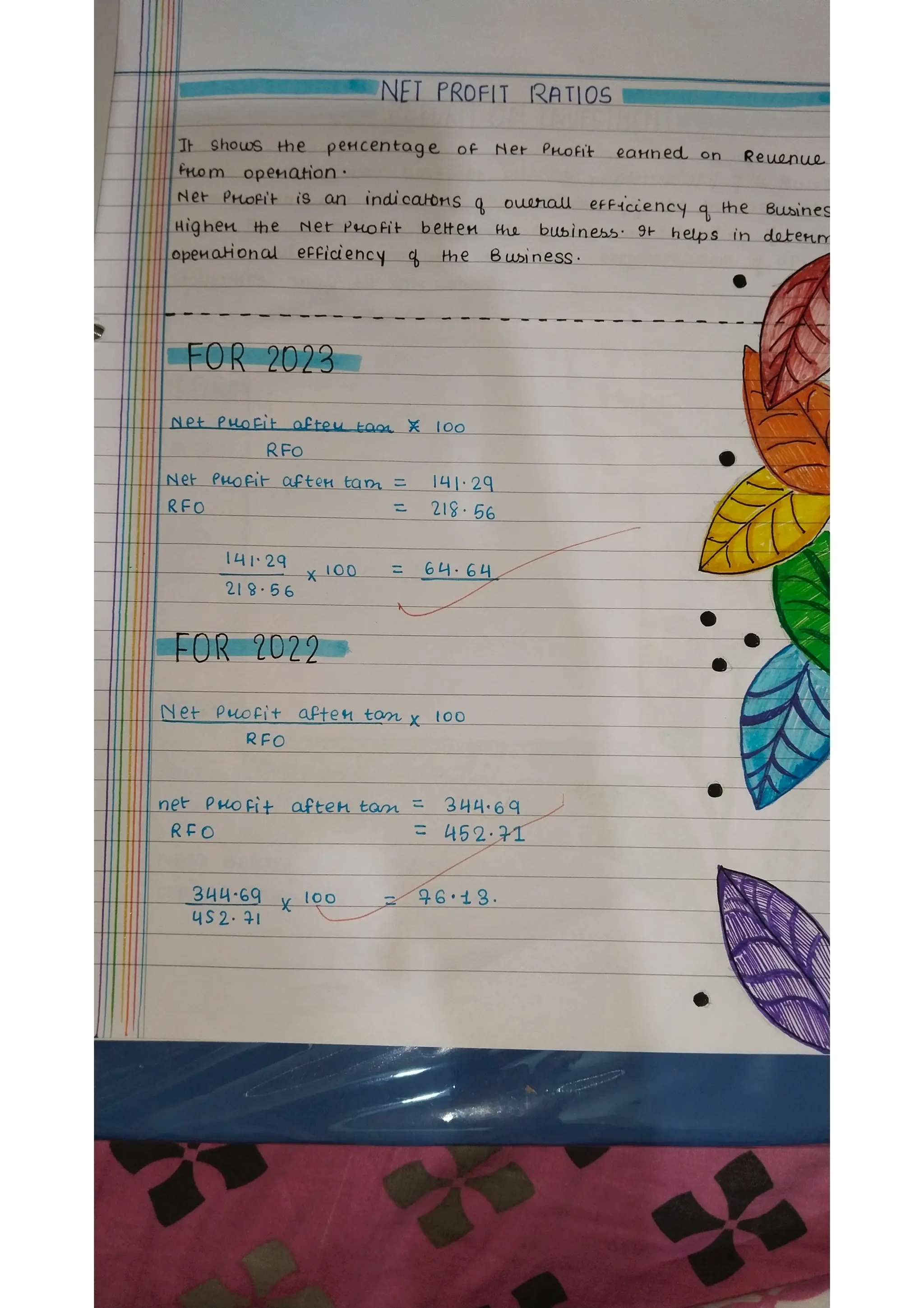 Ratio analysis and segment reporting Accountancy project
