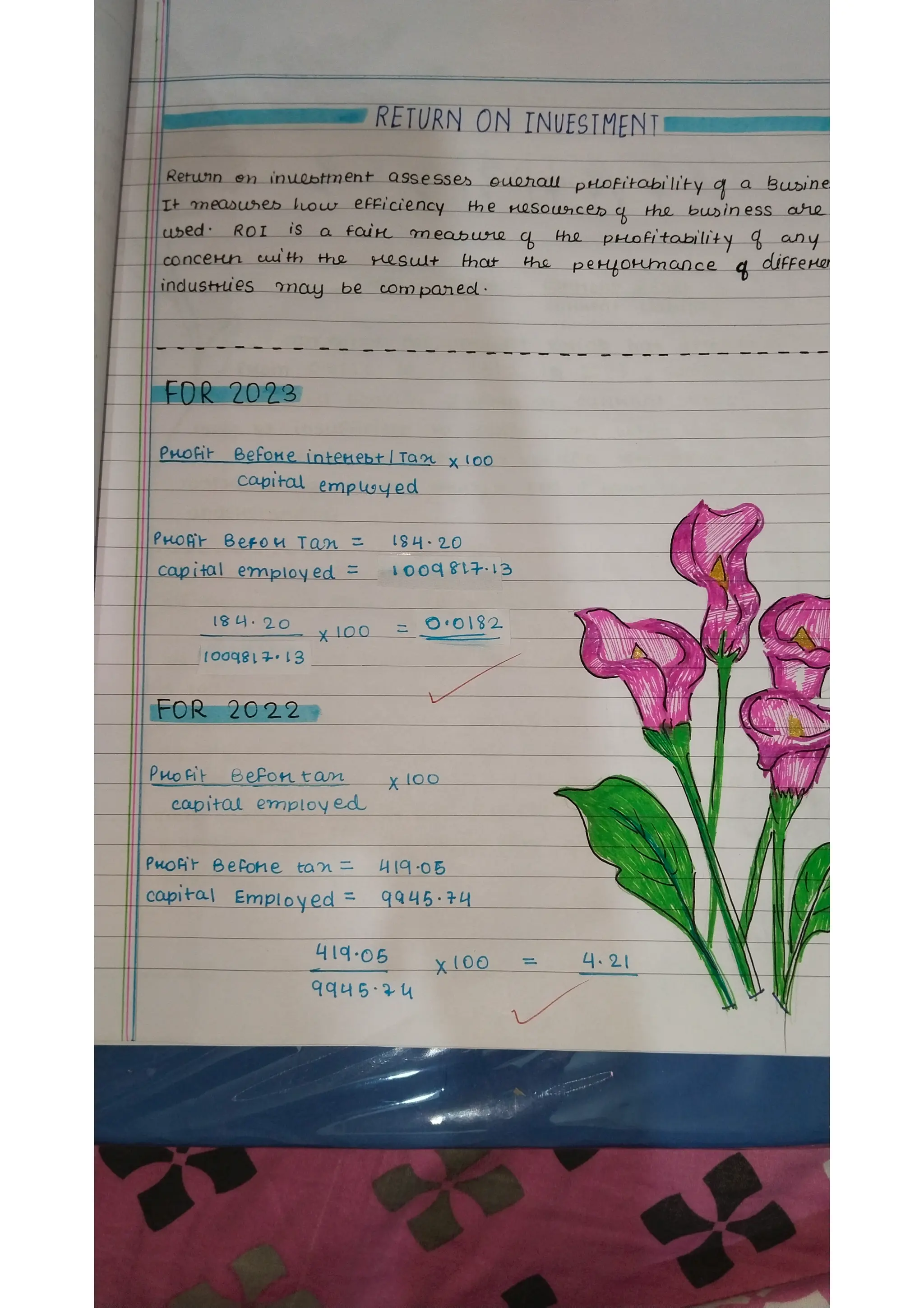 Ratio analysis and segment reporting Accountancy project