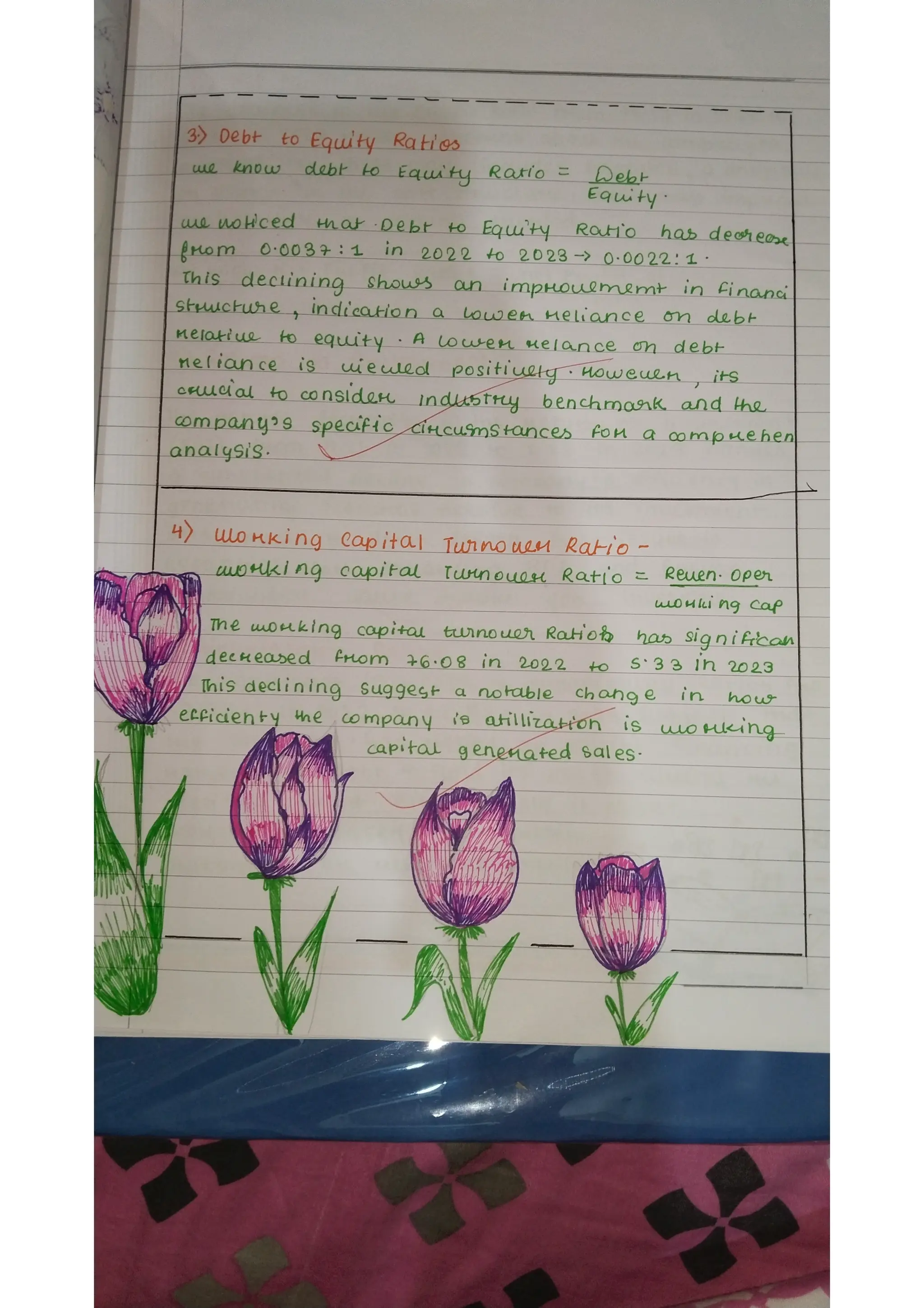 Ratio analysis and segment reporting Accountancy project