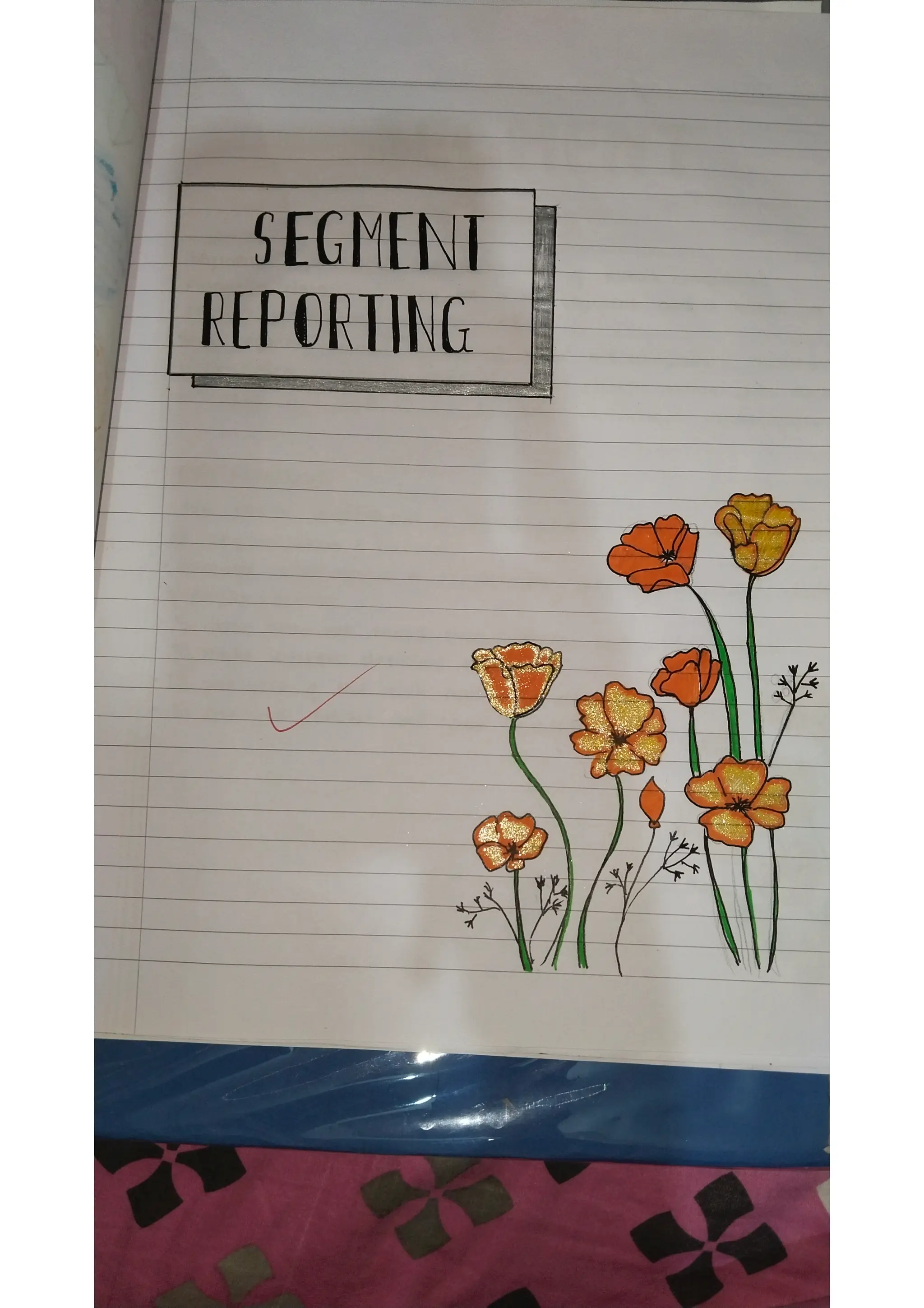 Ratio analysis and segment reporting Accountancy project