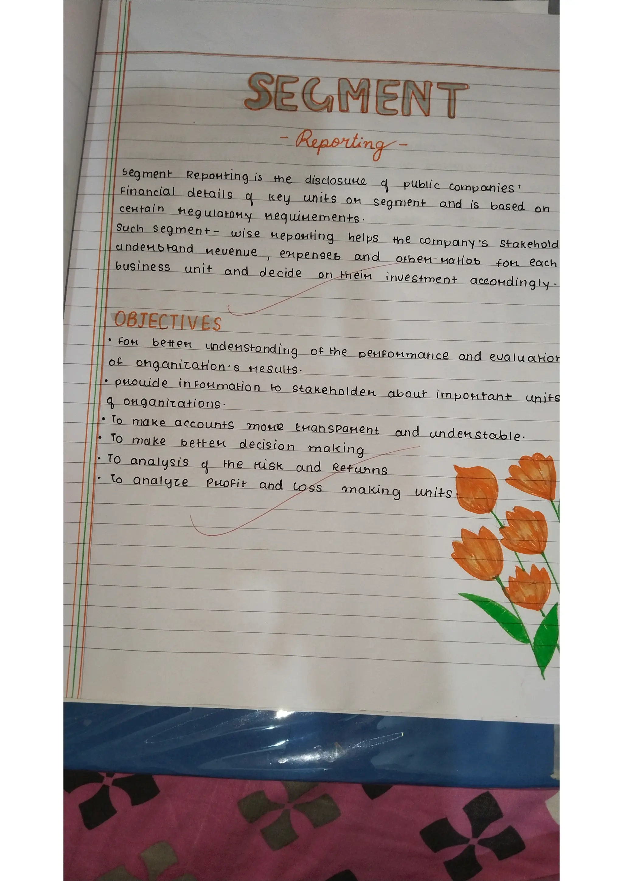 Ratio analysis and segment reporting Accountancy project