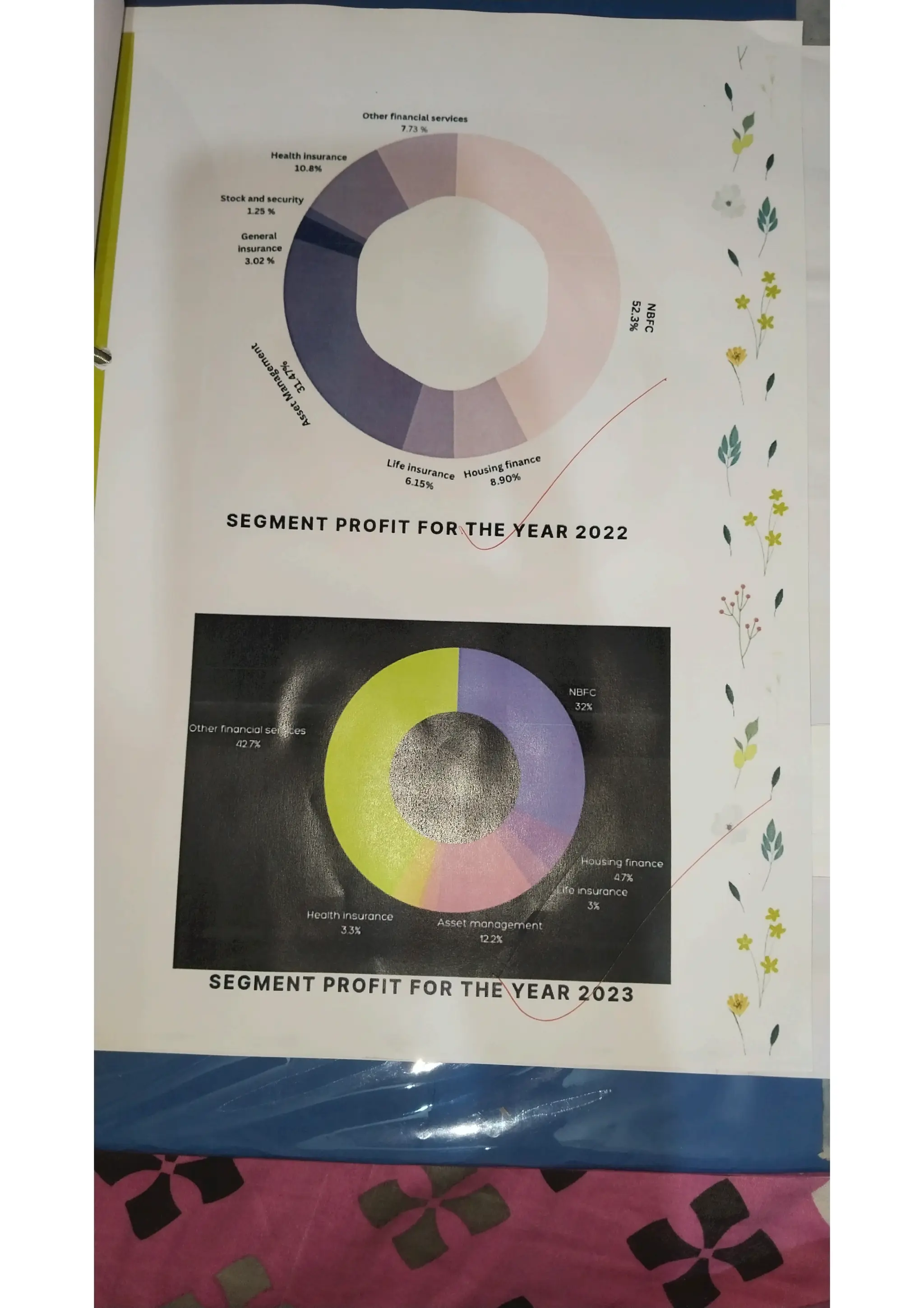 Ratio analysis and segment reporting Accountancy project