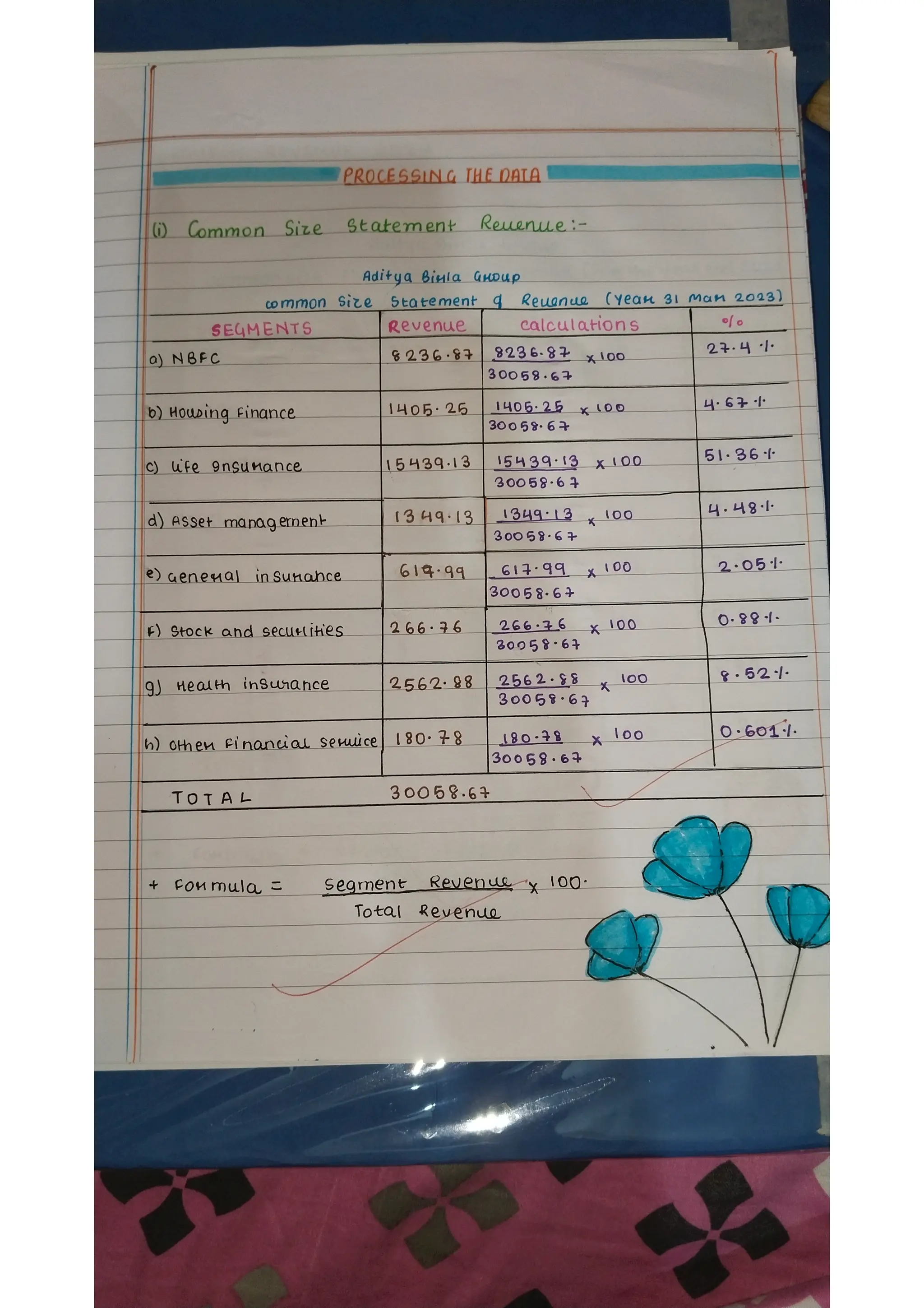 Ratio analysis and segment reporting Accountancy project