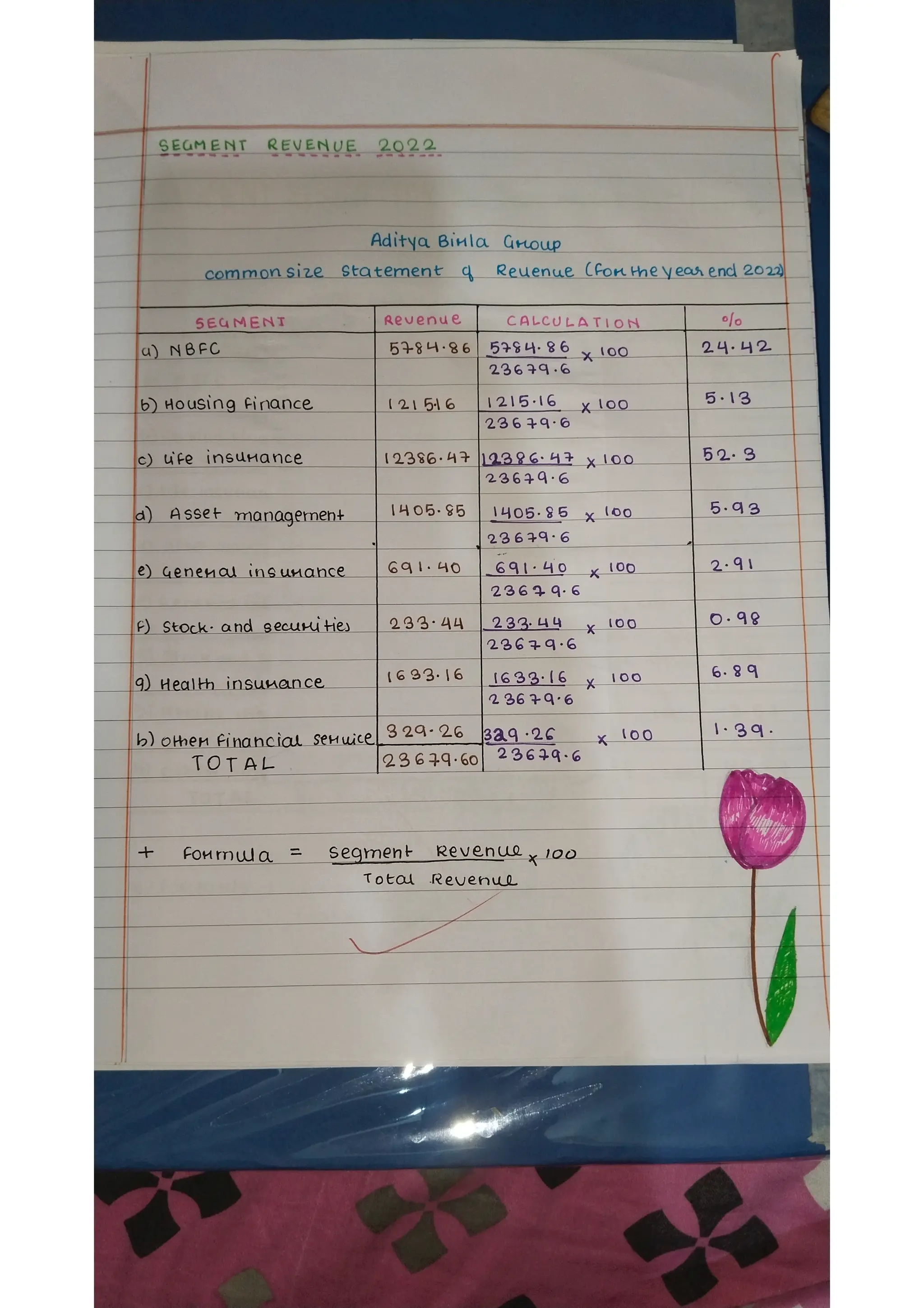 Ratio analysis and segment reporting Accountancy project