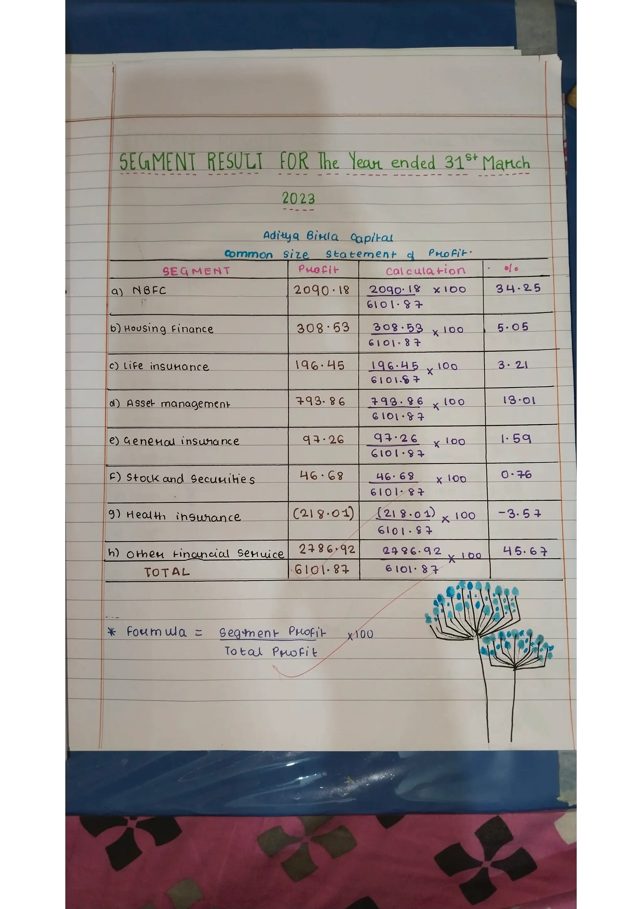 Ratio analysis and segment reporting Accountancy project