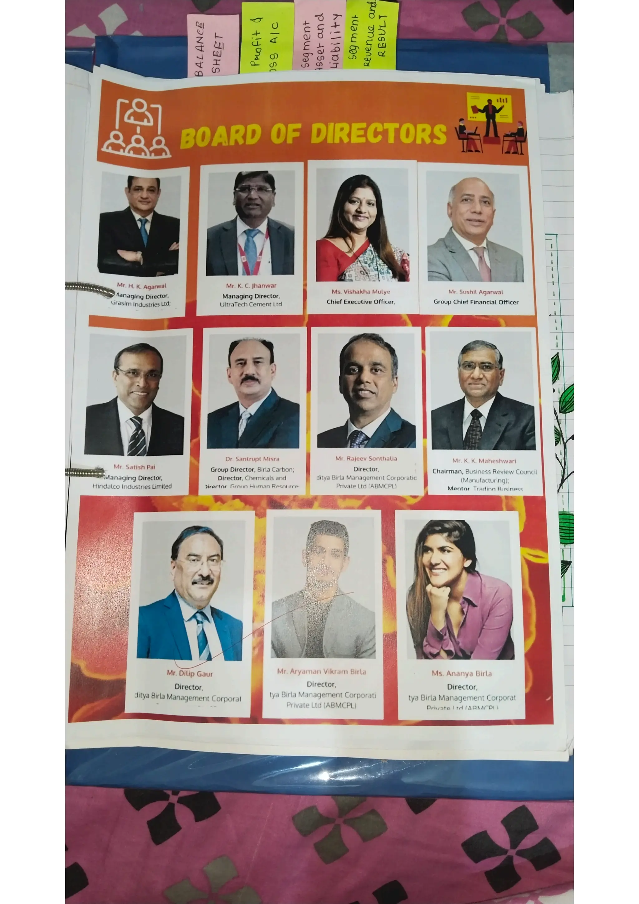 Ratio analysis and segment reporting Accountancy project