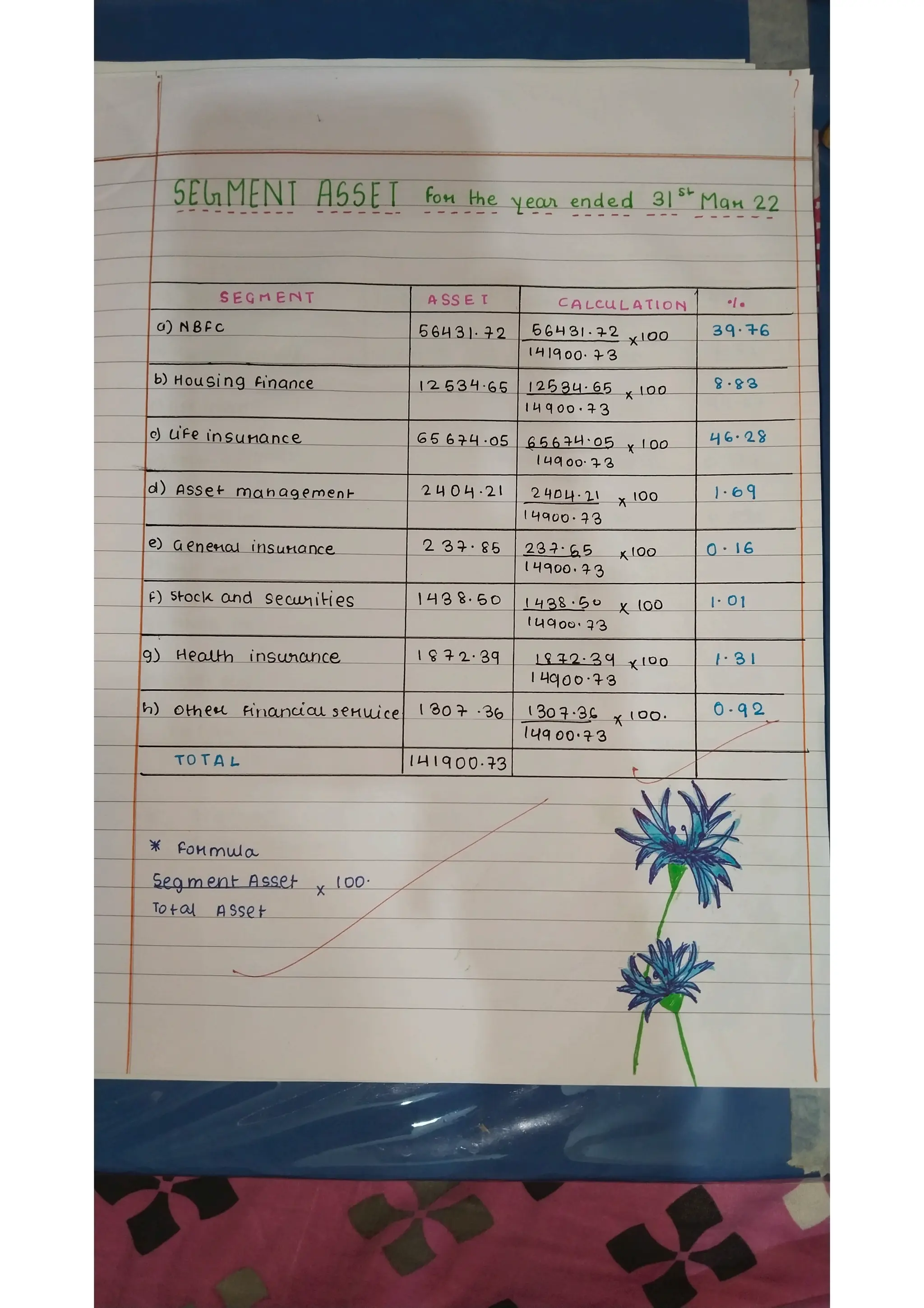 Ratio analysis and segment reporting Accountancy project