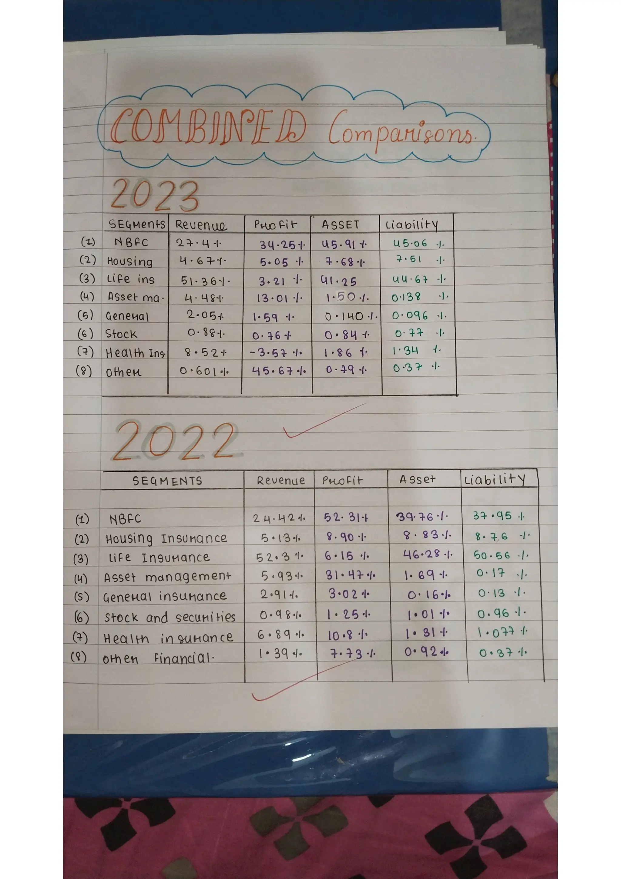 Ratio analysis and segment reporting Accountancy project