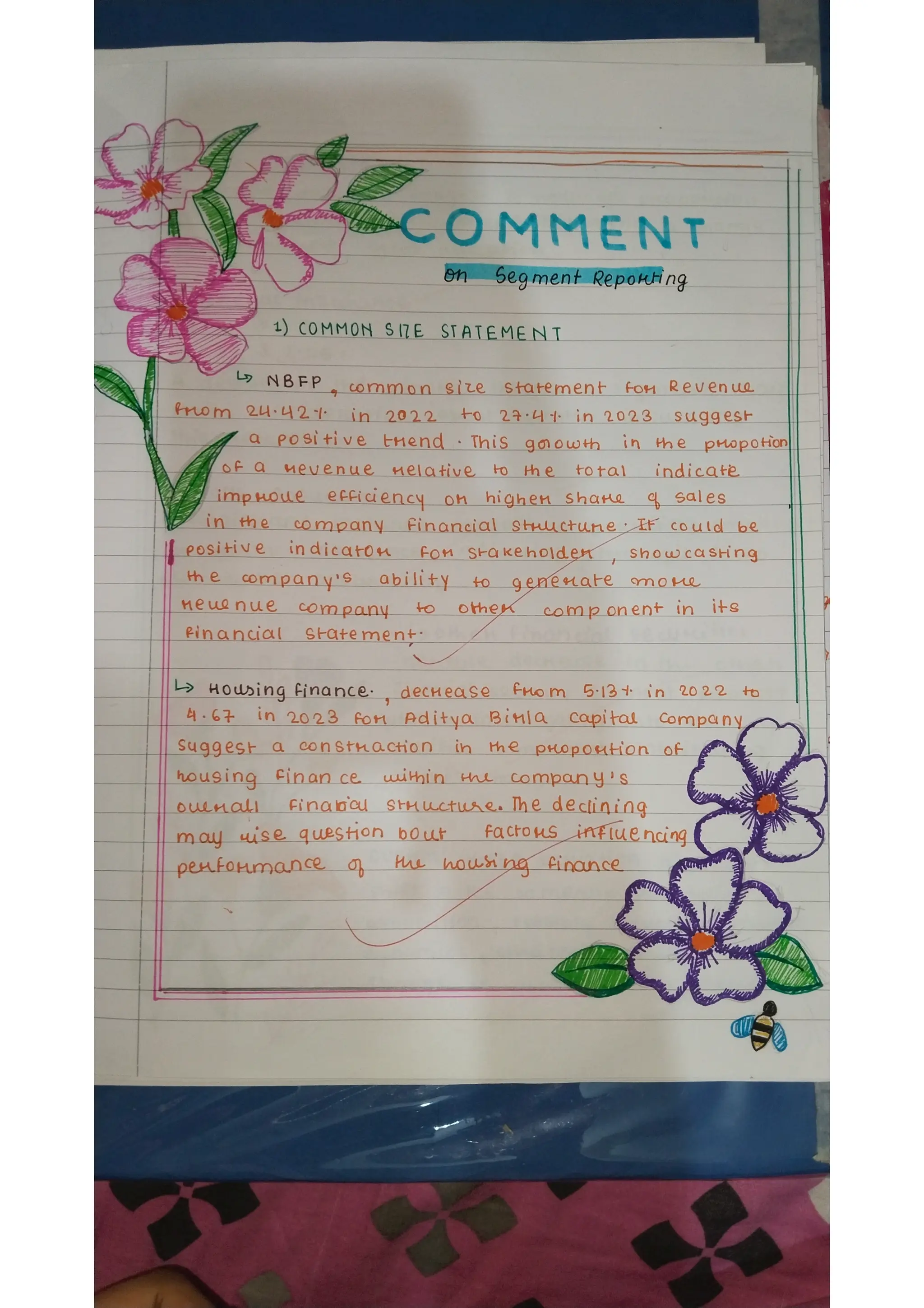 Ratio analysis and segment reporting Accountancy project