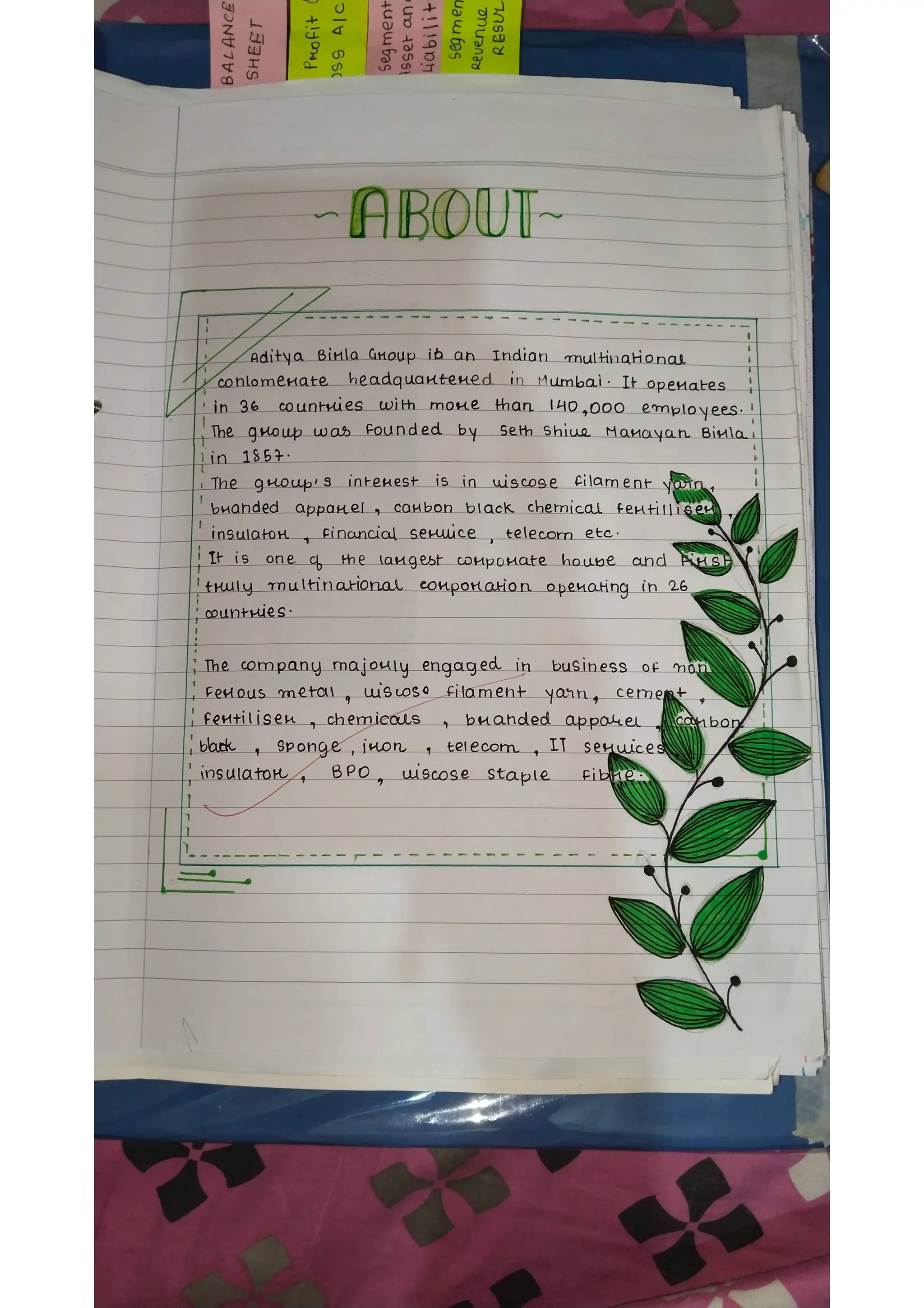 Ratio analysis and segment reporting Accountancy project