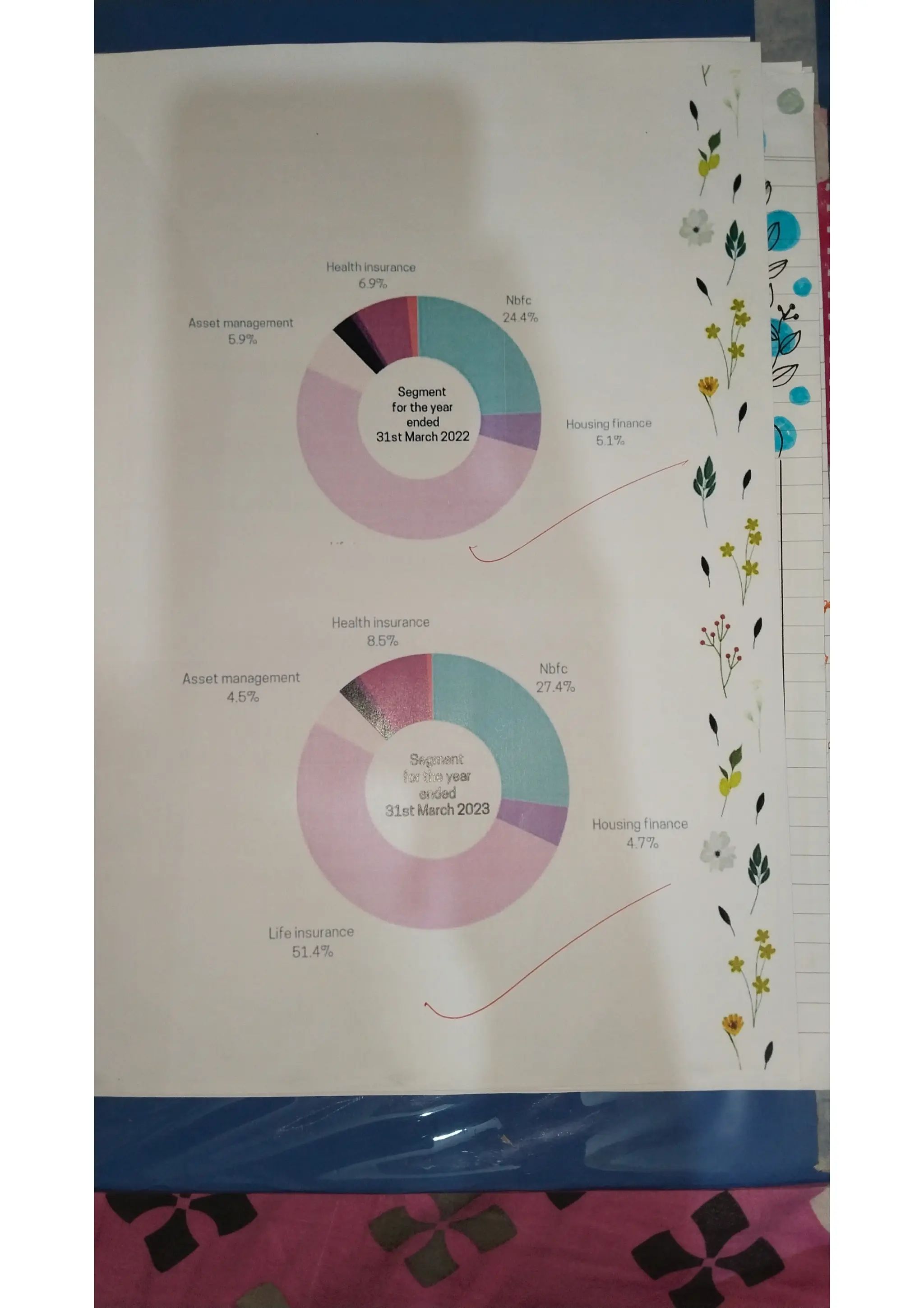 Ratio analysis and segment reporting Accountancy project