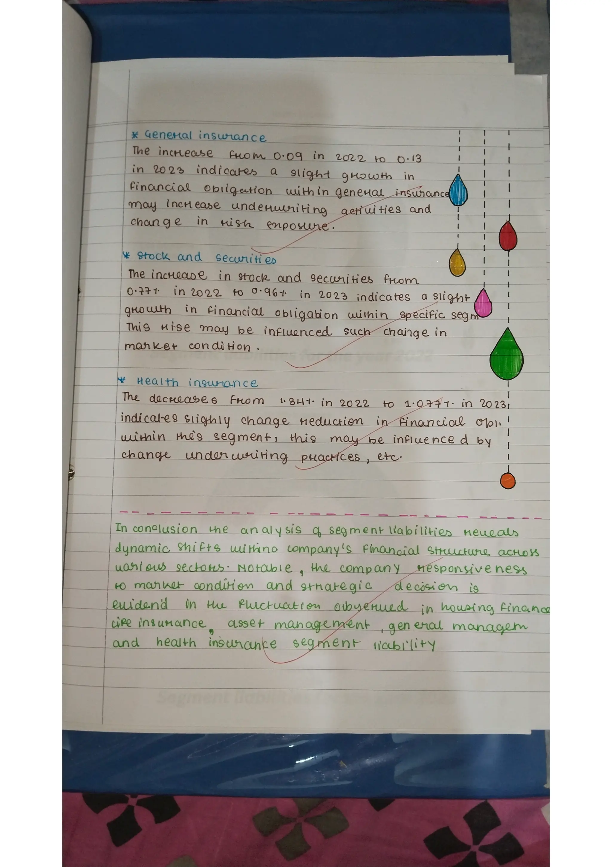 Ratio analysis and segment reporting Accountancy project