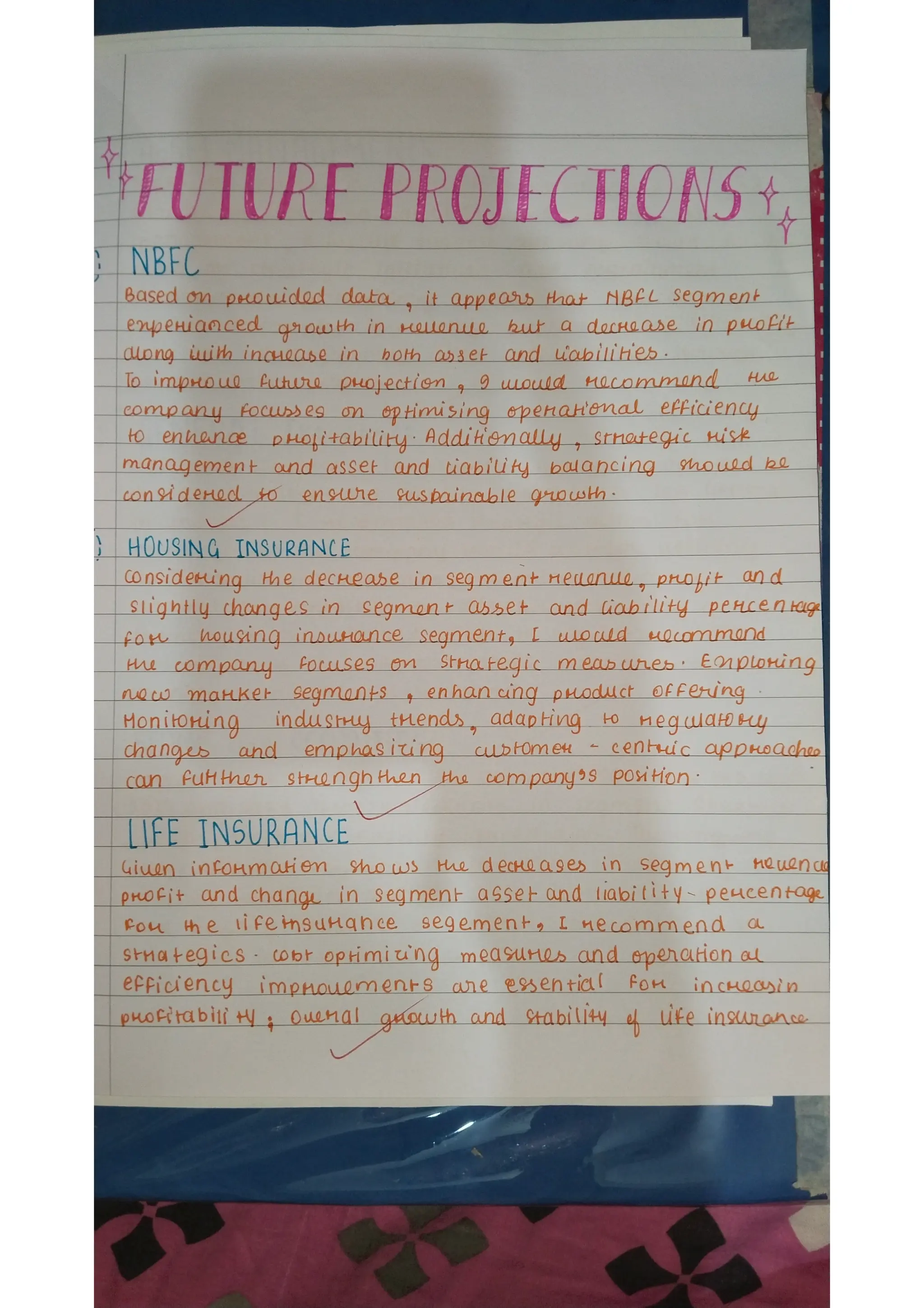 Ratio analysis and segment reporting Accountancy project