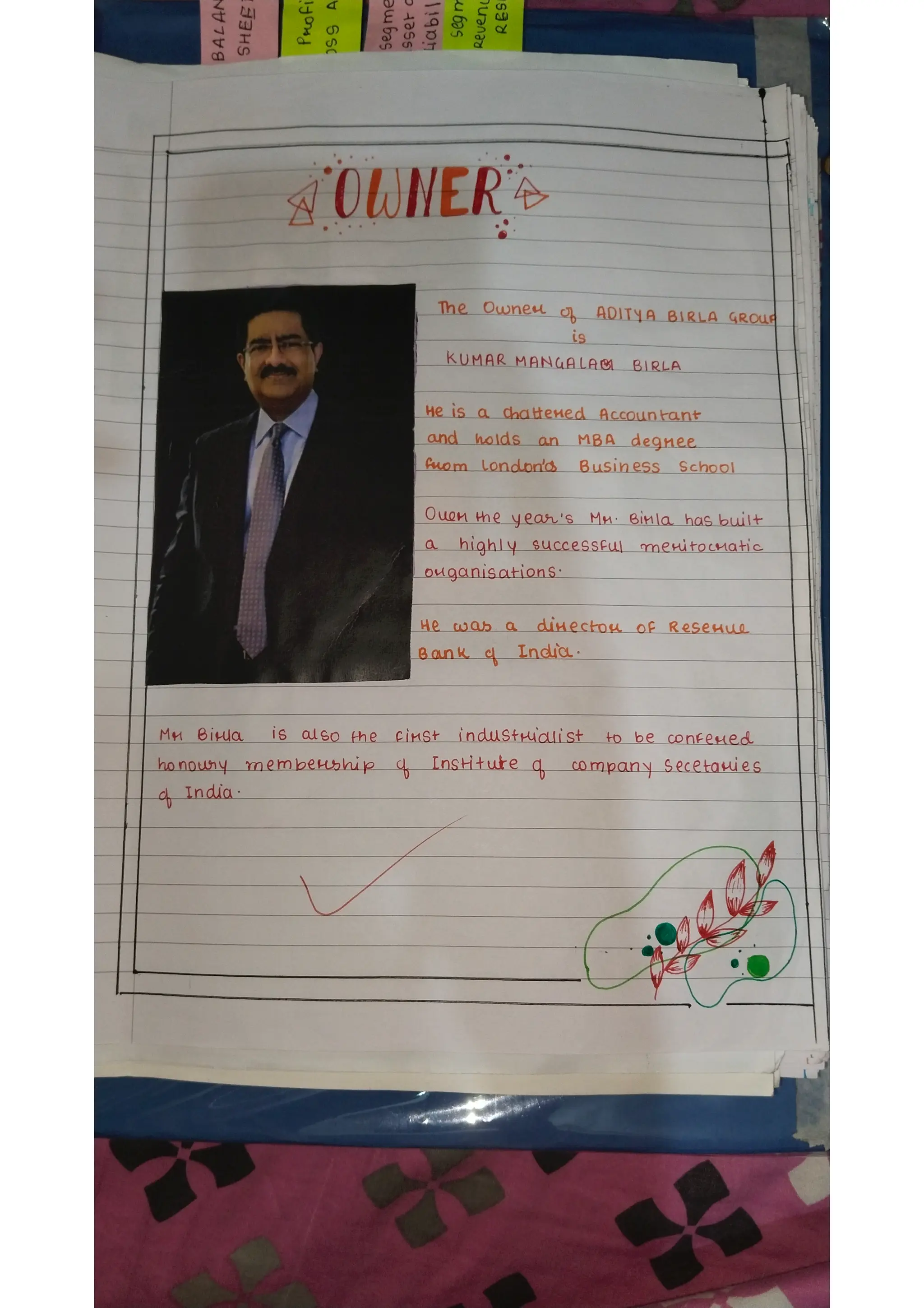 Ratio analysis and segment reporting Accountancy project