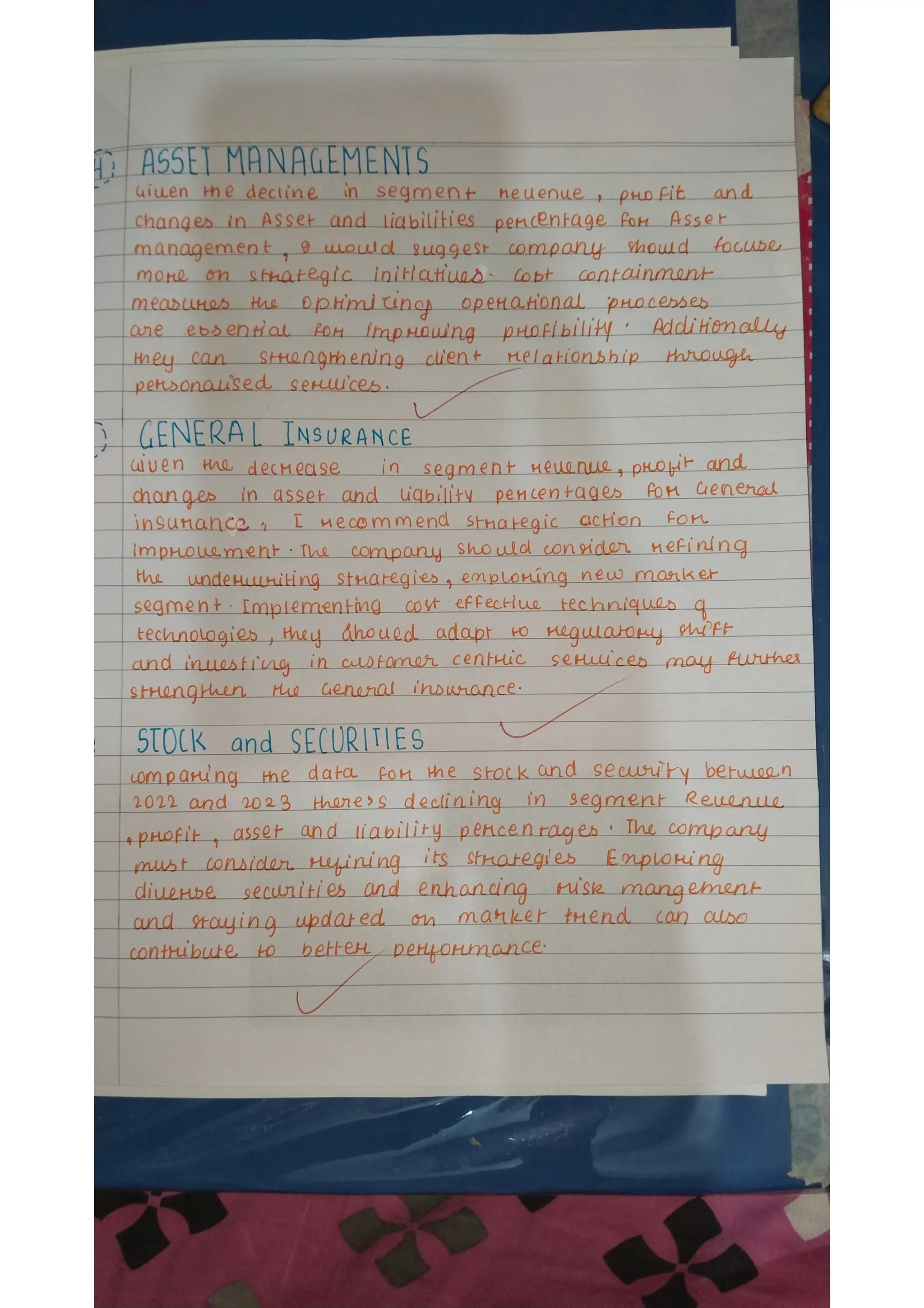 Ratio analysis and segment reporting Accountancy project