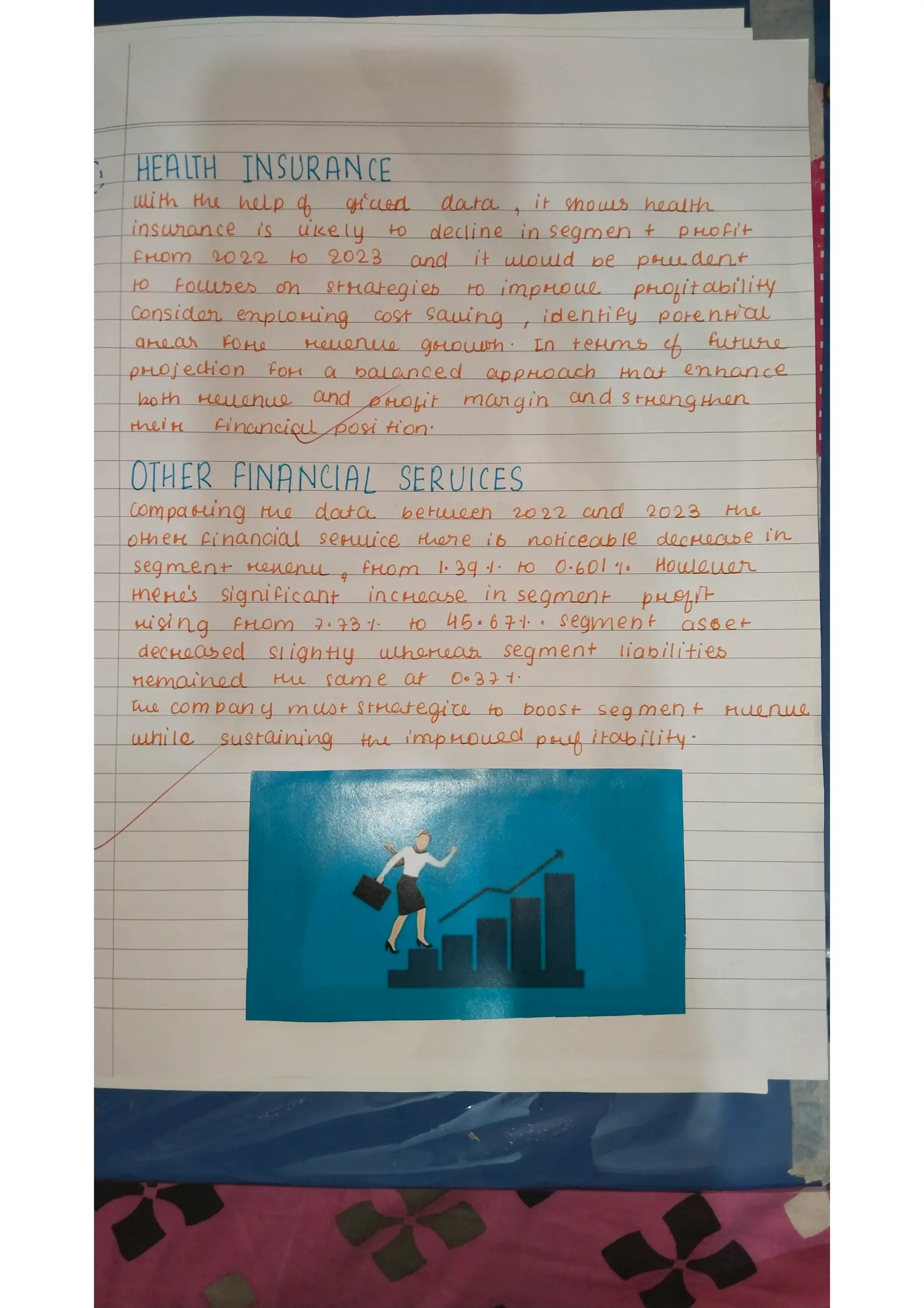 Ratio analysis and segment reporting Accountancy project