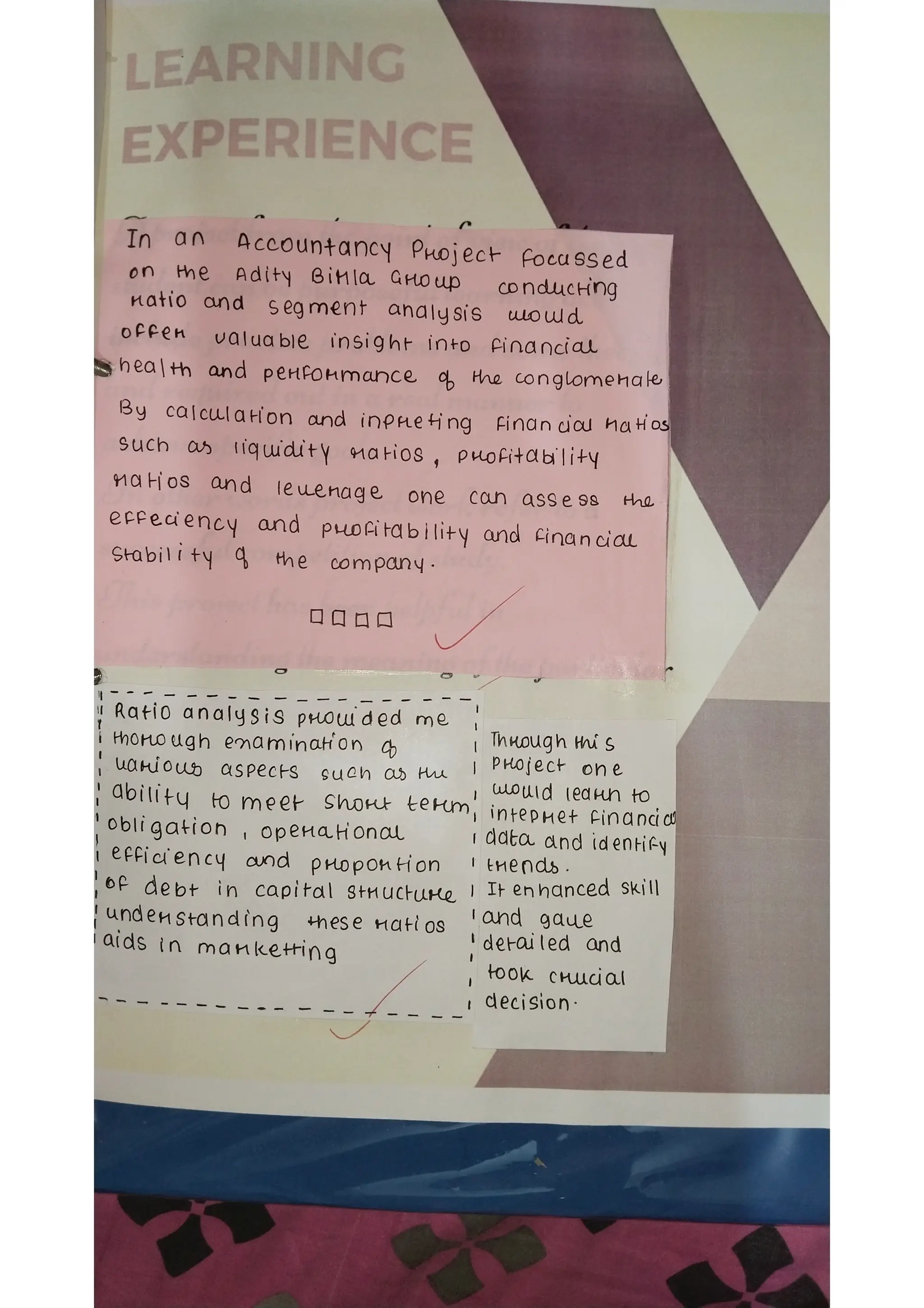 Ratio analysis and segment reporting Accountancy project
