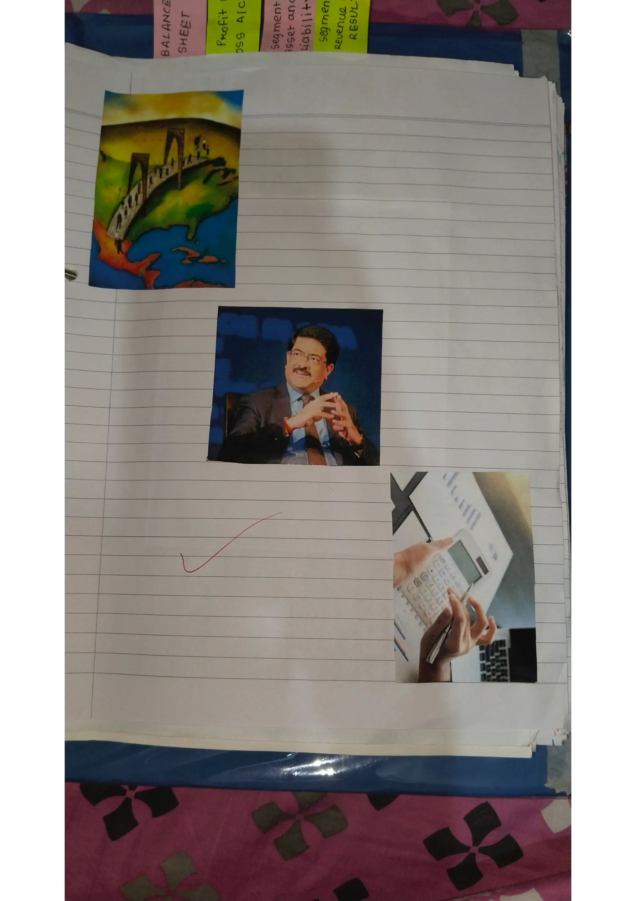 Ratio analysis and segment reporting Accountancy project