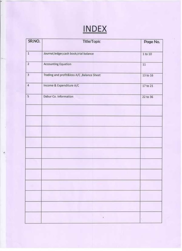 Accountancy project class 11th (cbse board) | PDF
