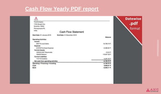 Cash Flow Program Example Pdf Account Cash Flow Statement Reports in Excel, pdf, | PPTX