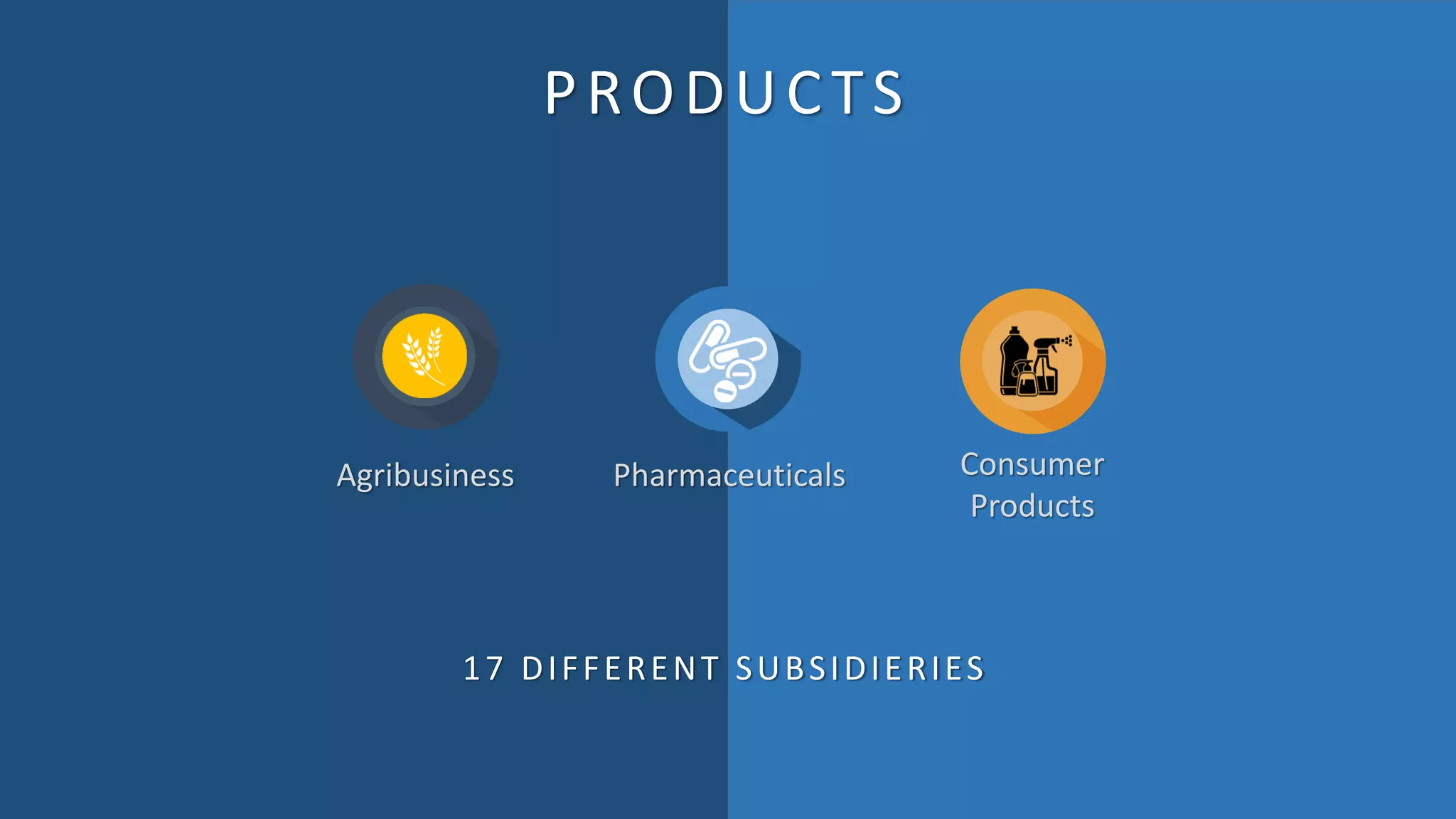 PRODUCTS
Agribusiness Pharmaceuticals Consumer
Products
17 DIFFERENT SUBSIDIERIES
 