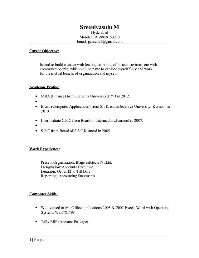 resume for accounts executive