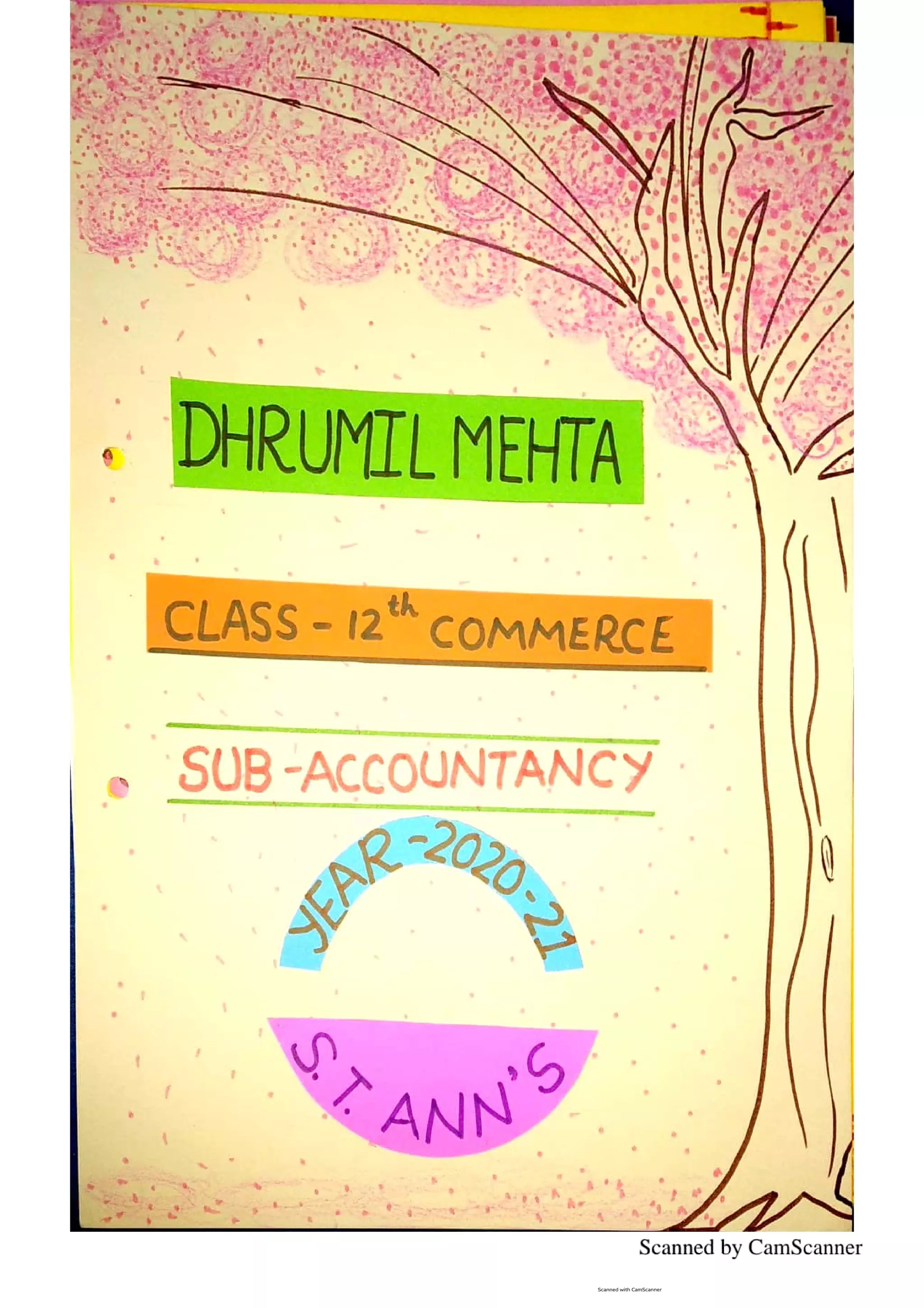 RATIO ANALYSIS ACCOUNTS PROJECT CLASS 12 visual data 7